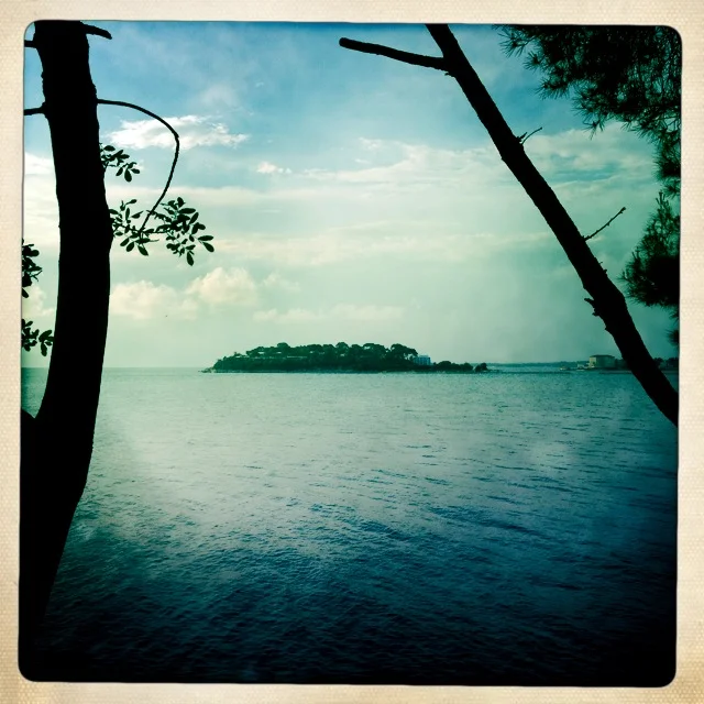 Iphonekuvat_Sanna Krook051.JPG