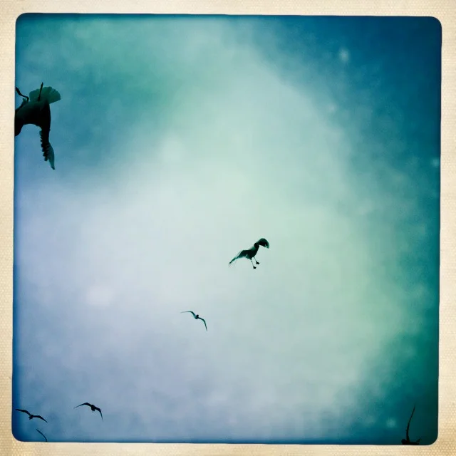 Iphonekuvat_Sanna Krook052.JPG