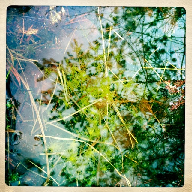 Iphonekuvat_Sanna Krook058.JPG