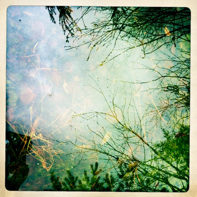 Iphonekuvat_Sanna Krook059.JPG