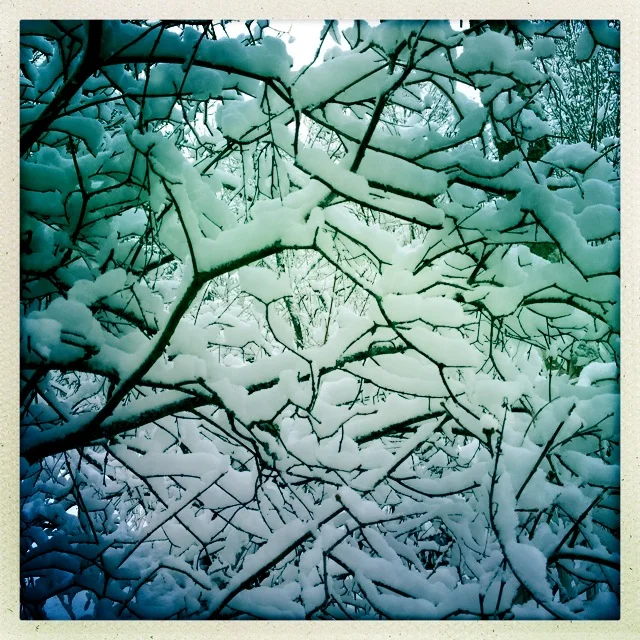 Iphonekuvat_Sanna Krook061.JPG