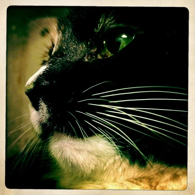 Iphonekuvat_Sanna Krook062.JPG