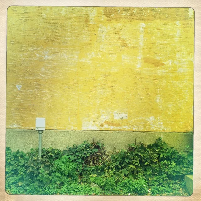 Iphonekuvat_Sanna Krook083.JPG