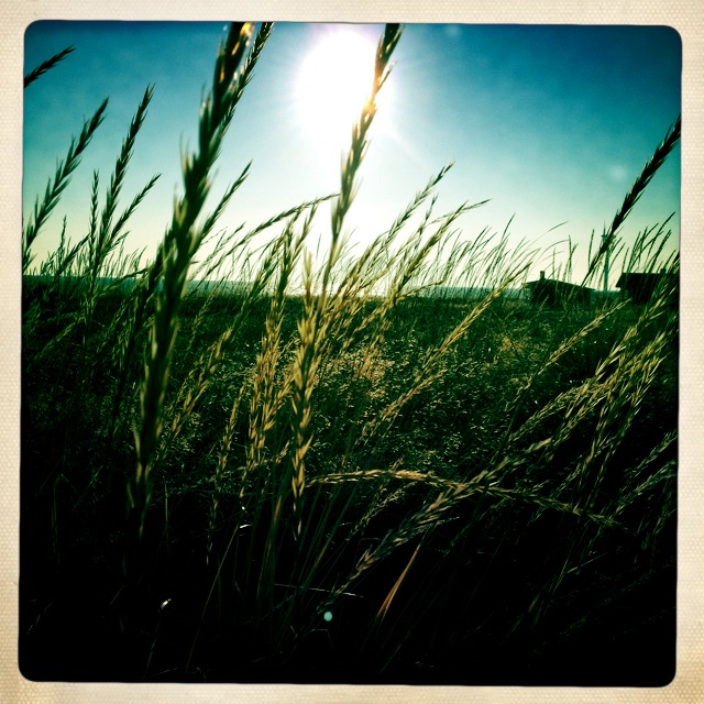 Iphonekuvat_Sanna Krook086.JPG