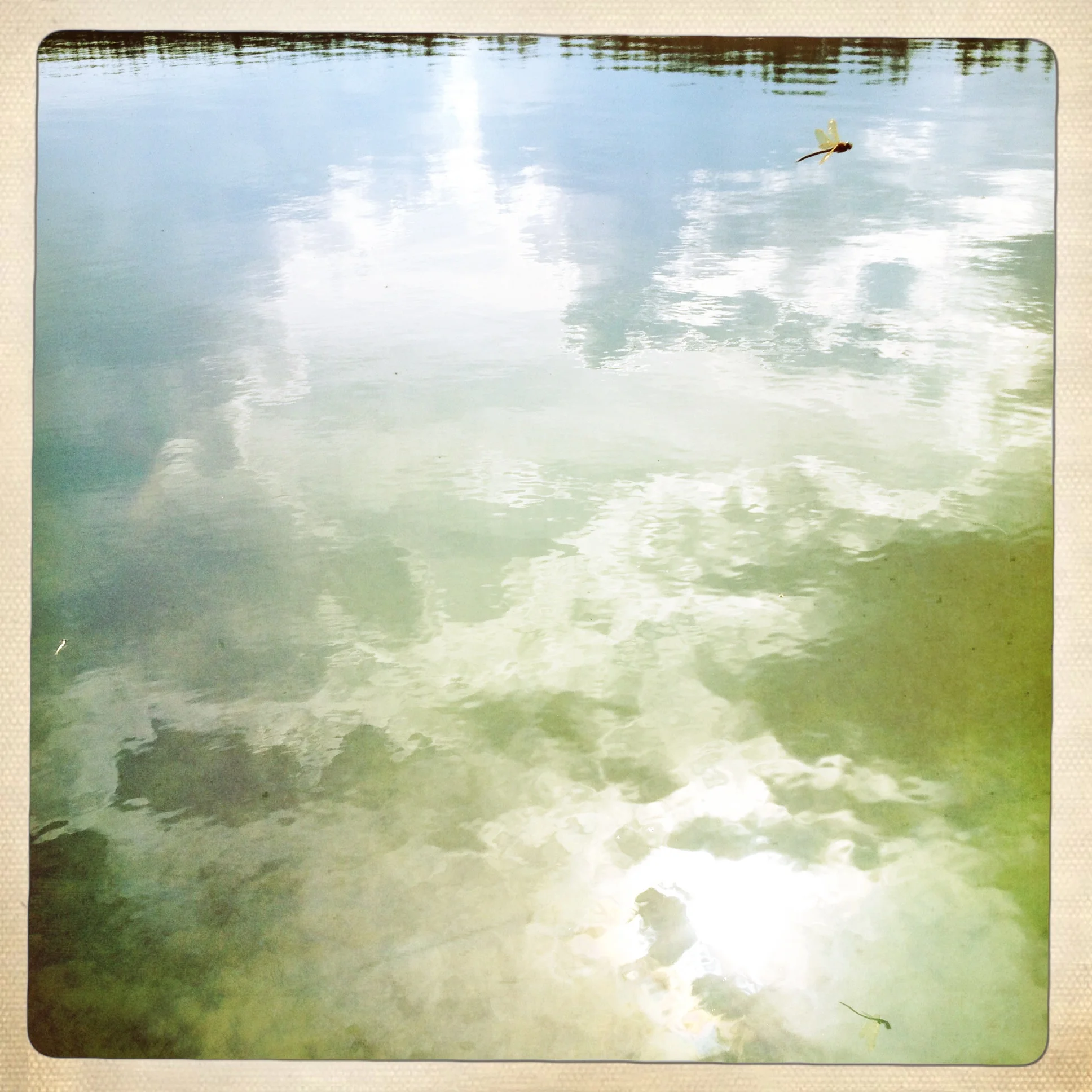 Iphonekuvat_Sanna Krook093.JPG