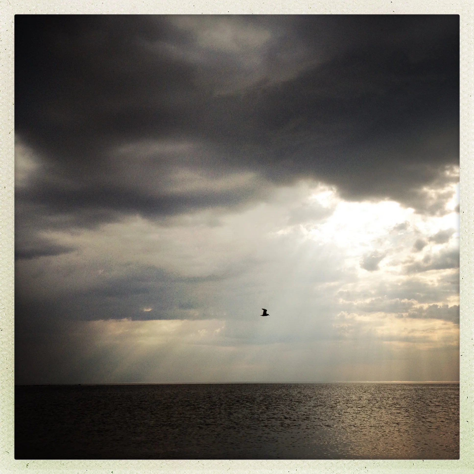 Iphonekuvat_Sanna Krook094.JPG