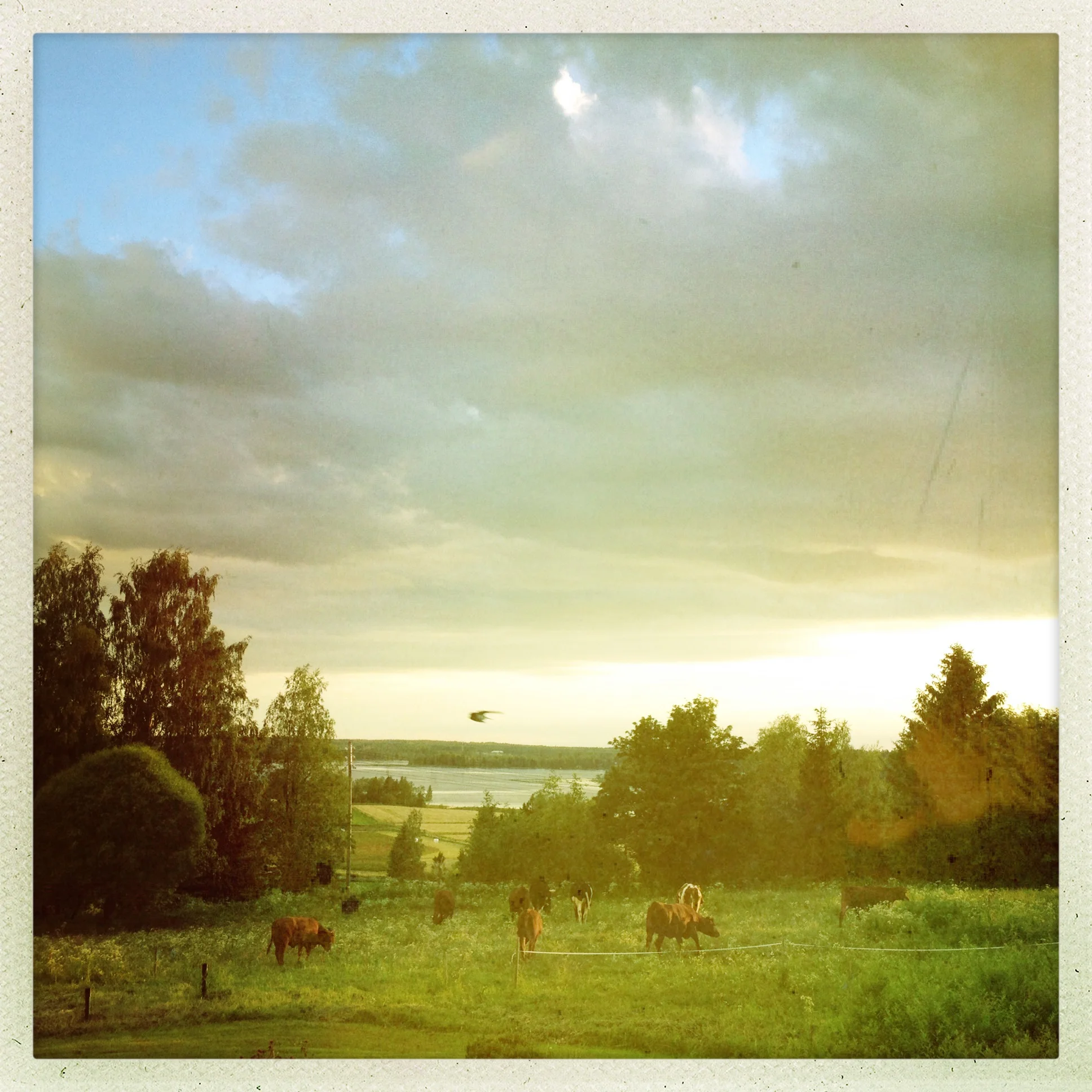 Iphonekuvat_Sanna Krook101.JPG