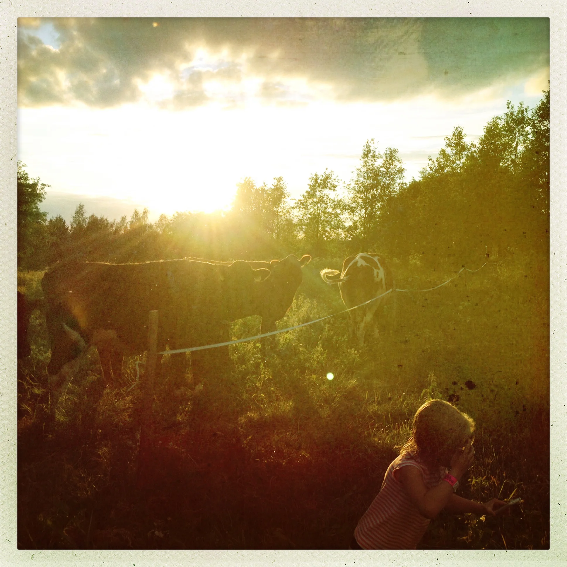 Iphonekuvat_Sanna Krook102.JPG