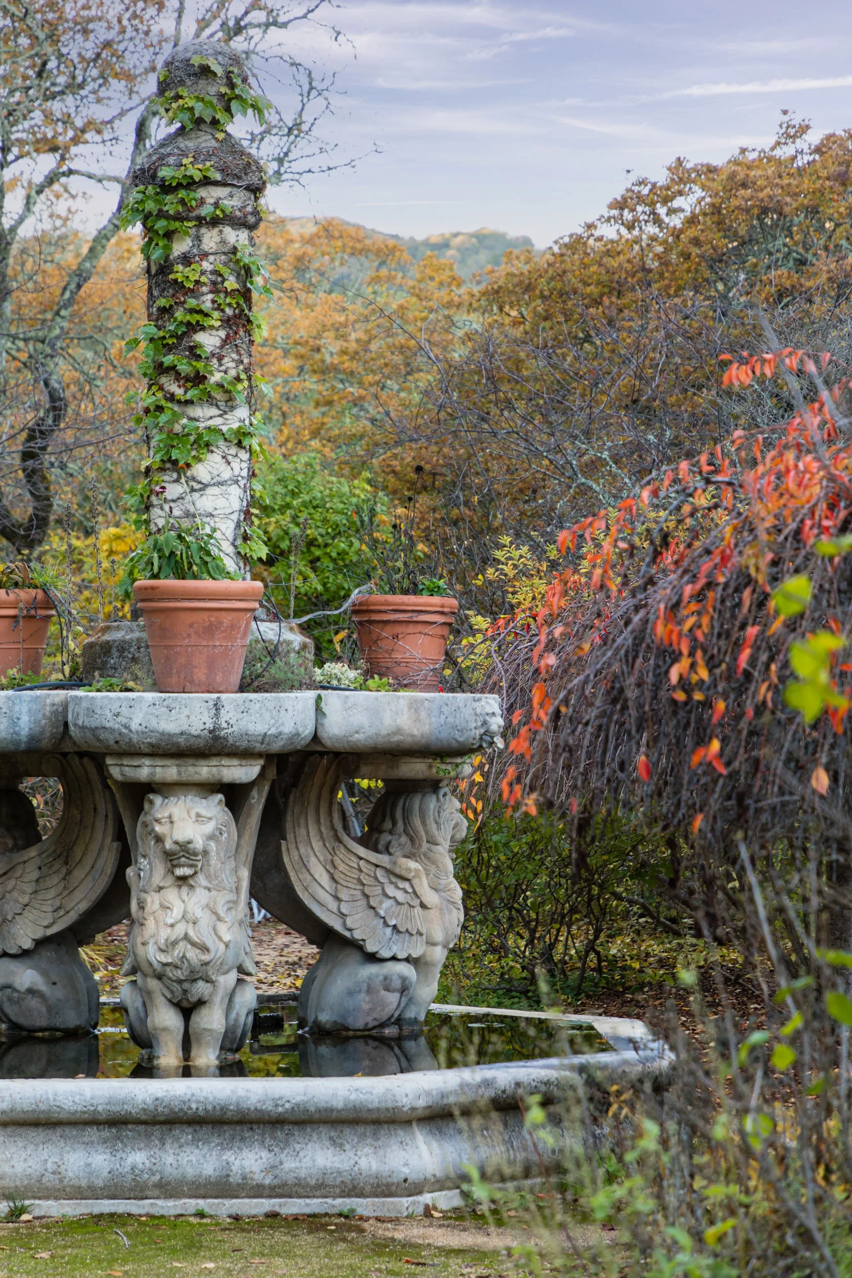 18730 Canyon grounds 41 20241127 small.jpg