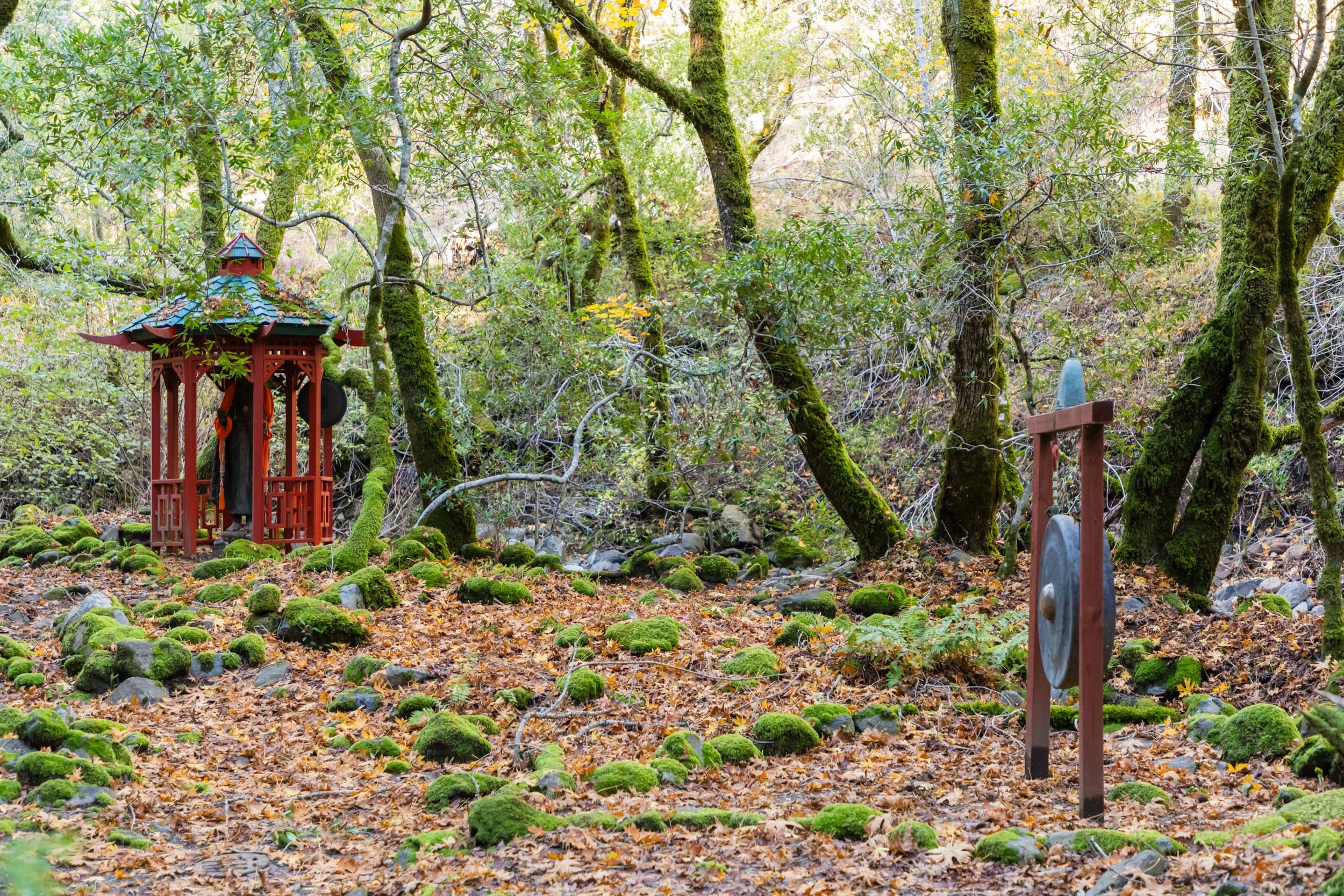 18730 Canyon grounds 32 20241127 small.jpg