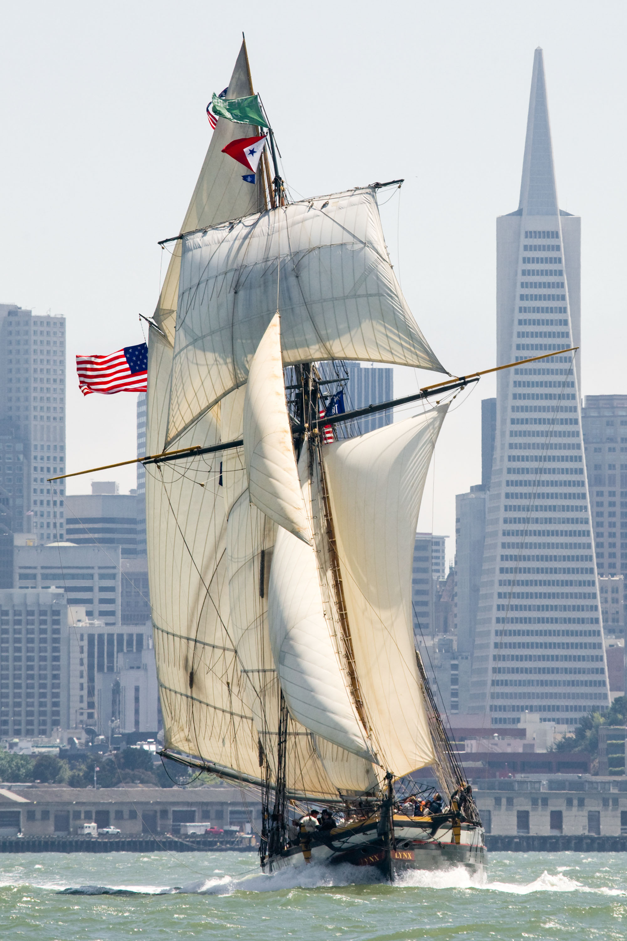 San Francisco, CA - Privateer "Lynx"