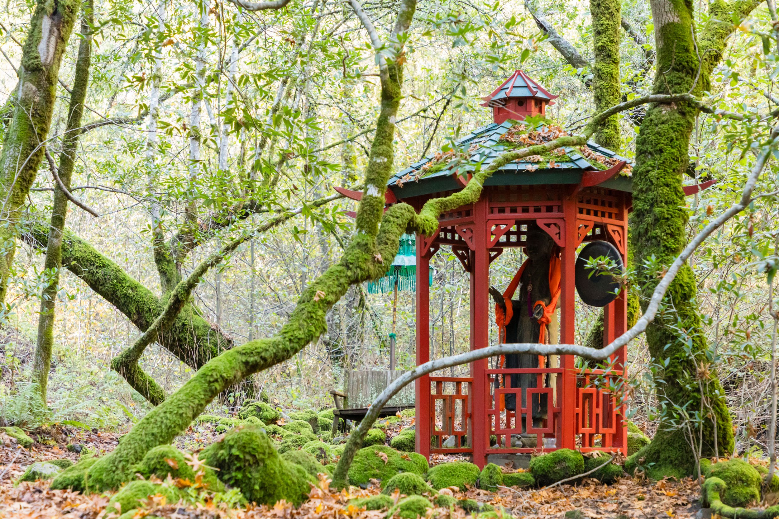 18730 Canyon grounds 33 20241127 small.jpg