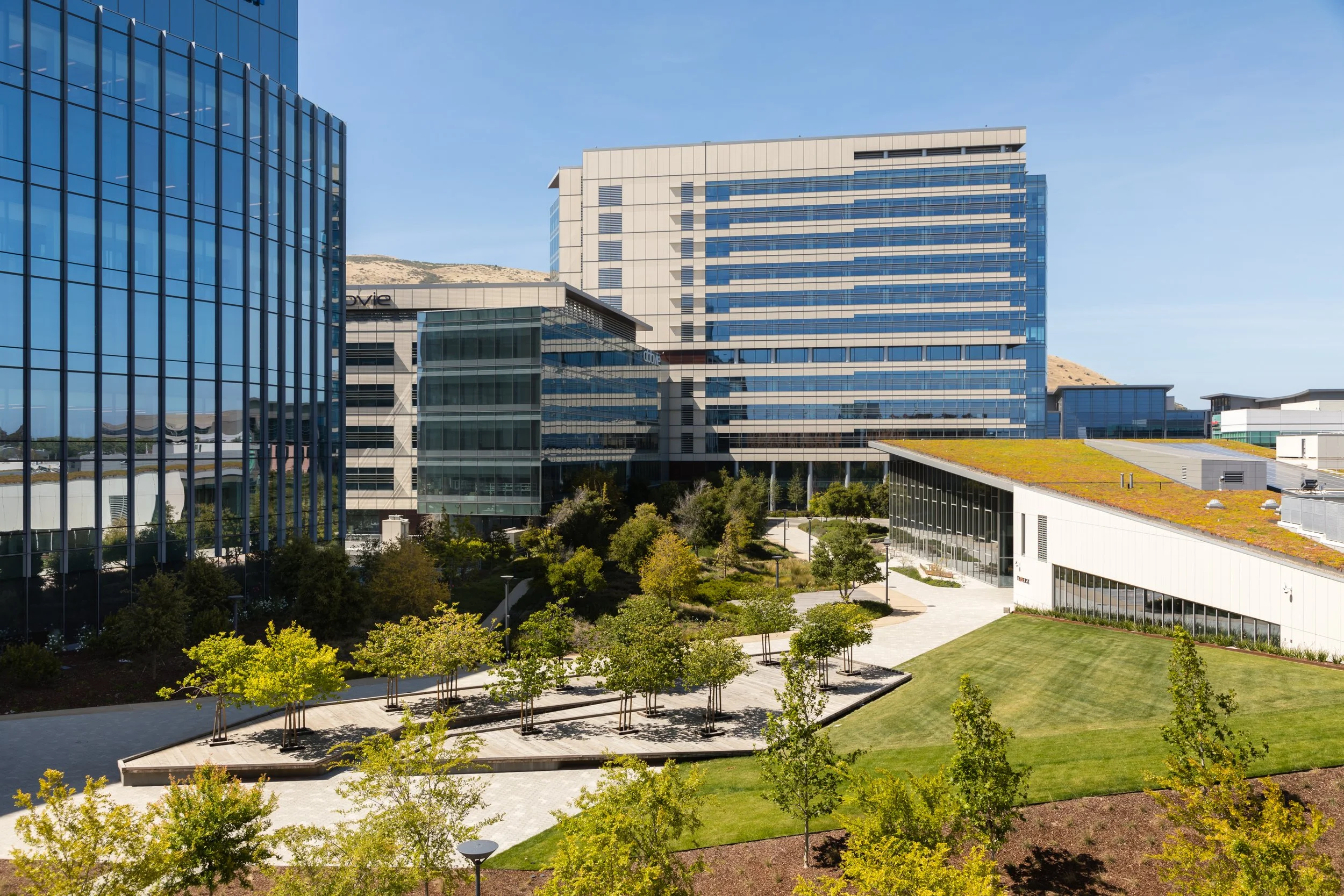 GOP Exteriors May 2022 (Peter Lyons) 26.jpg