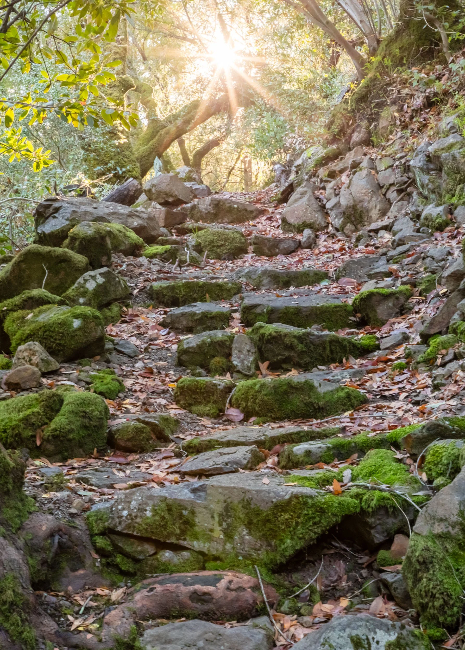 18730 Canyon grounds 35 20241127 small.jpg