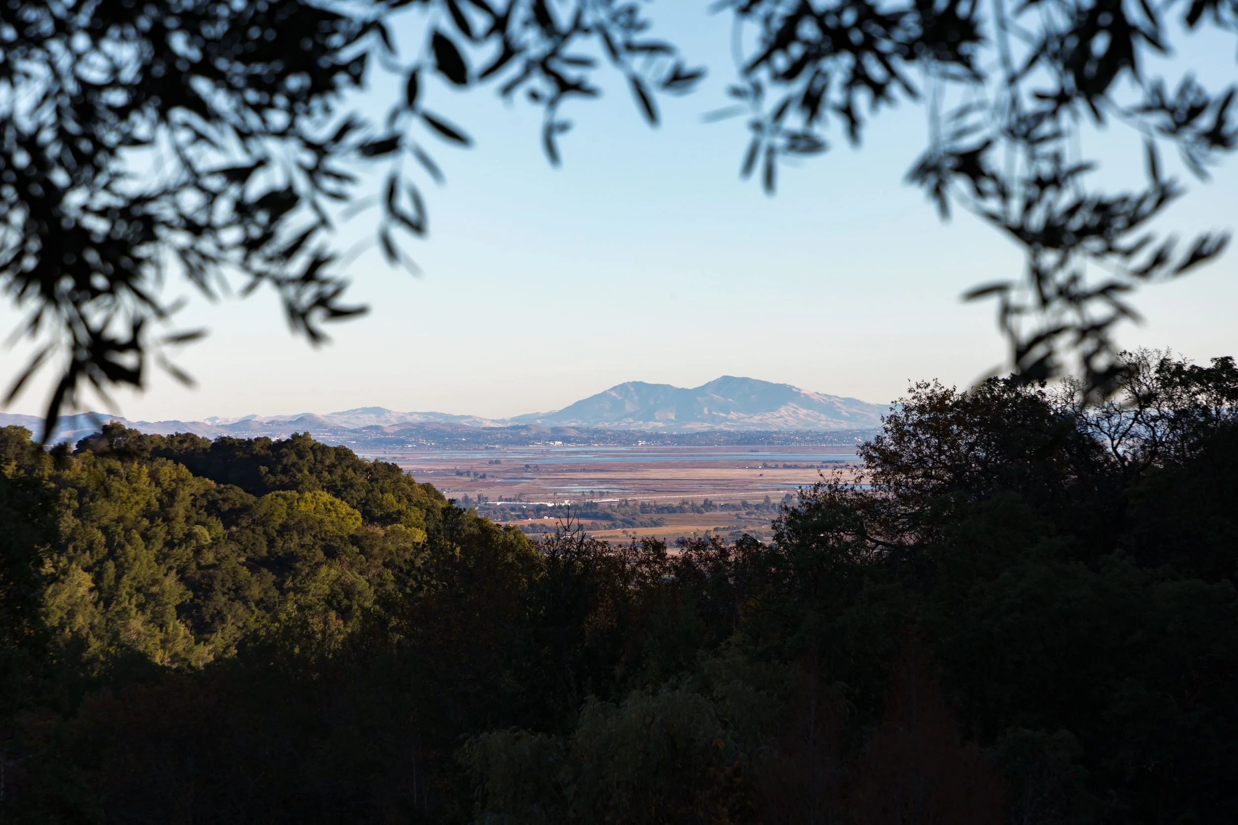 18730 Canyon grounds 42 20241127 small.jpg