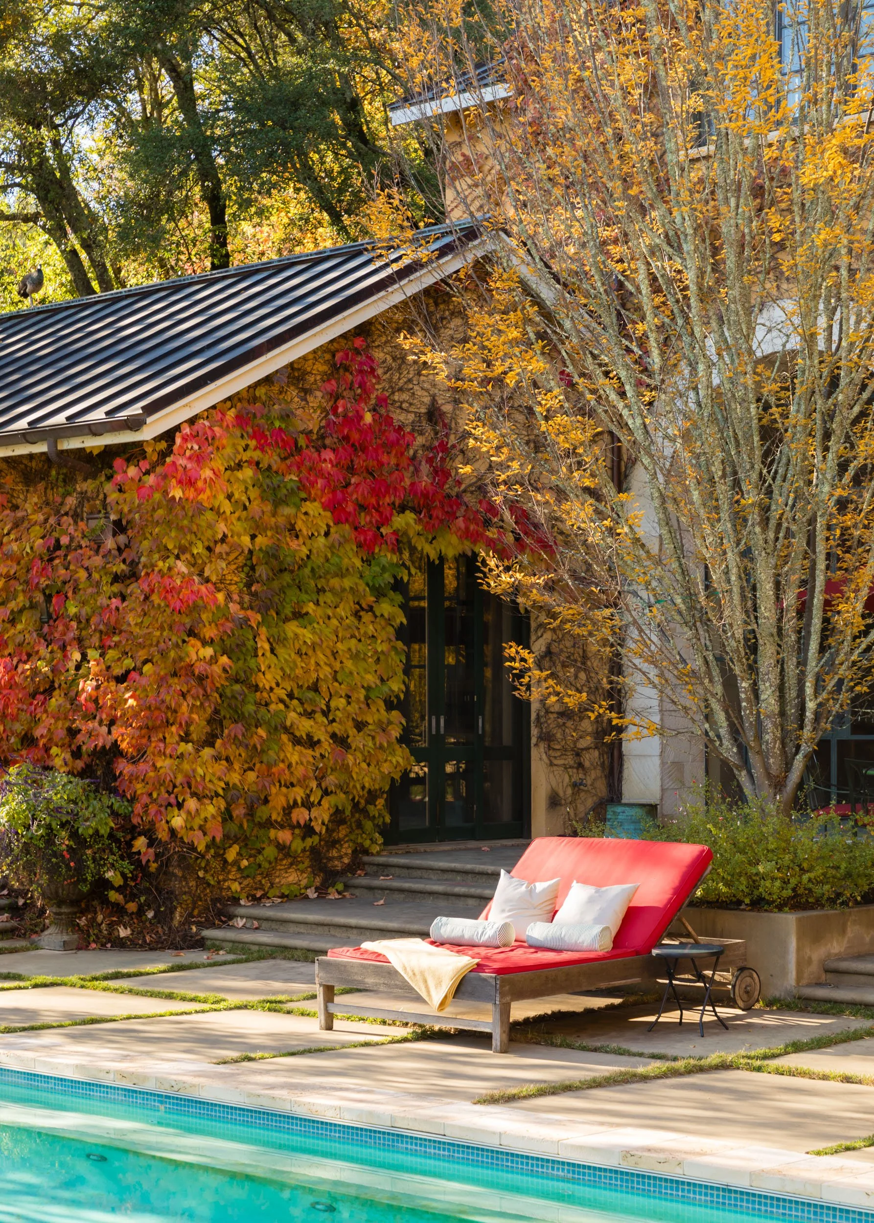 18730 Canyon grounds 23 20241127 small.jpg