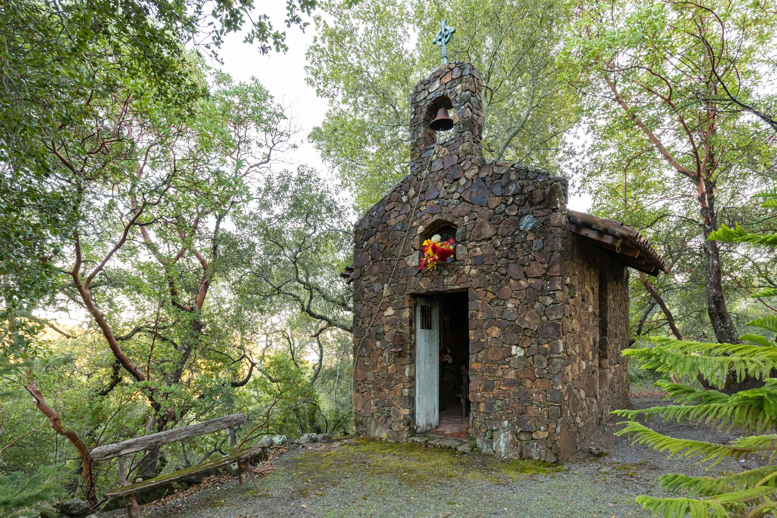 18730 Canyon grounds 39 20241127 small.jpg