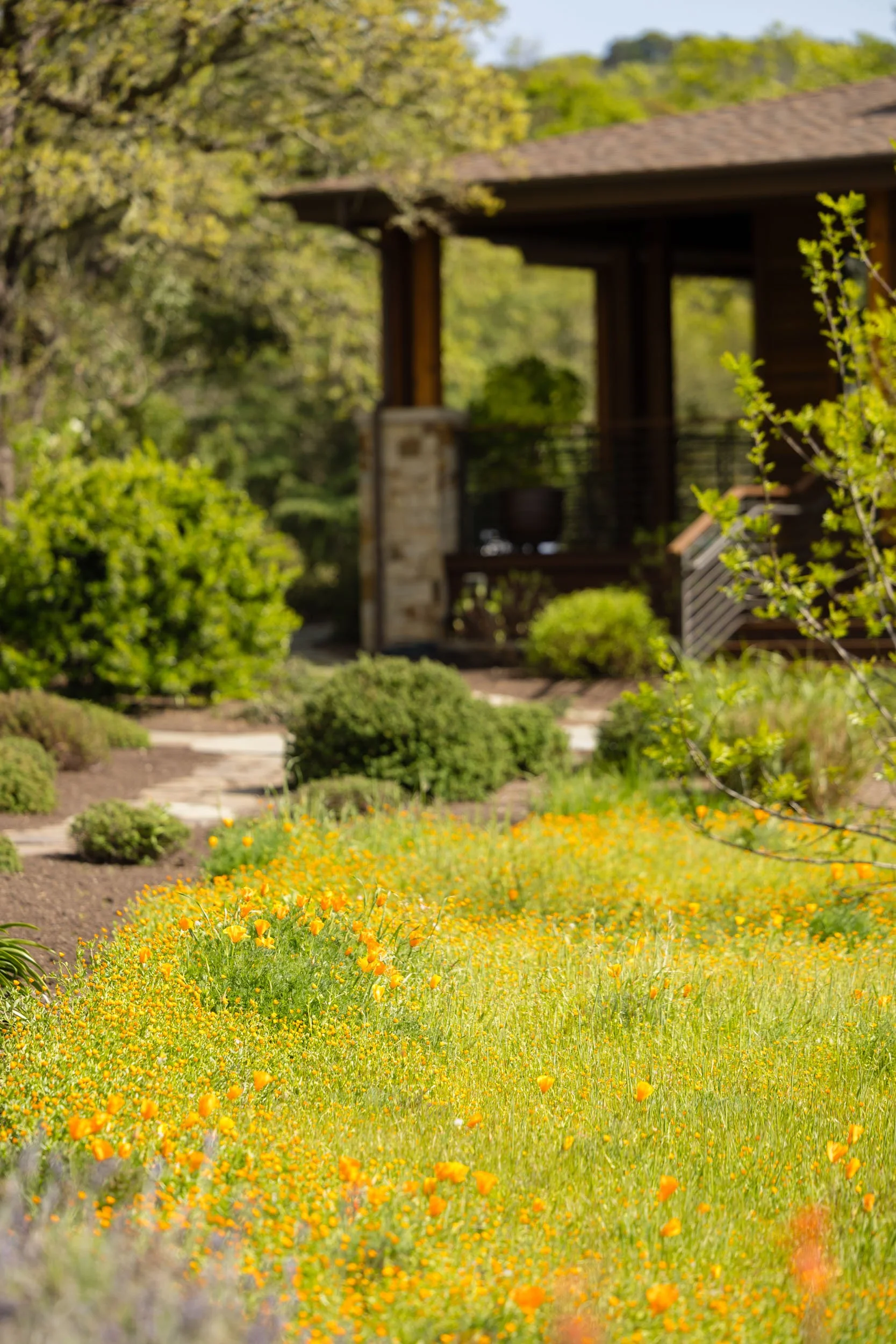 3525 Wood Valley Rd 63 20250403 small.jpg