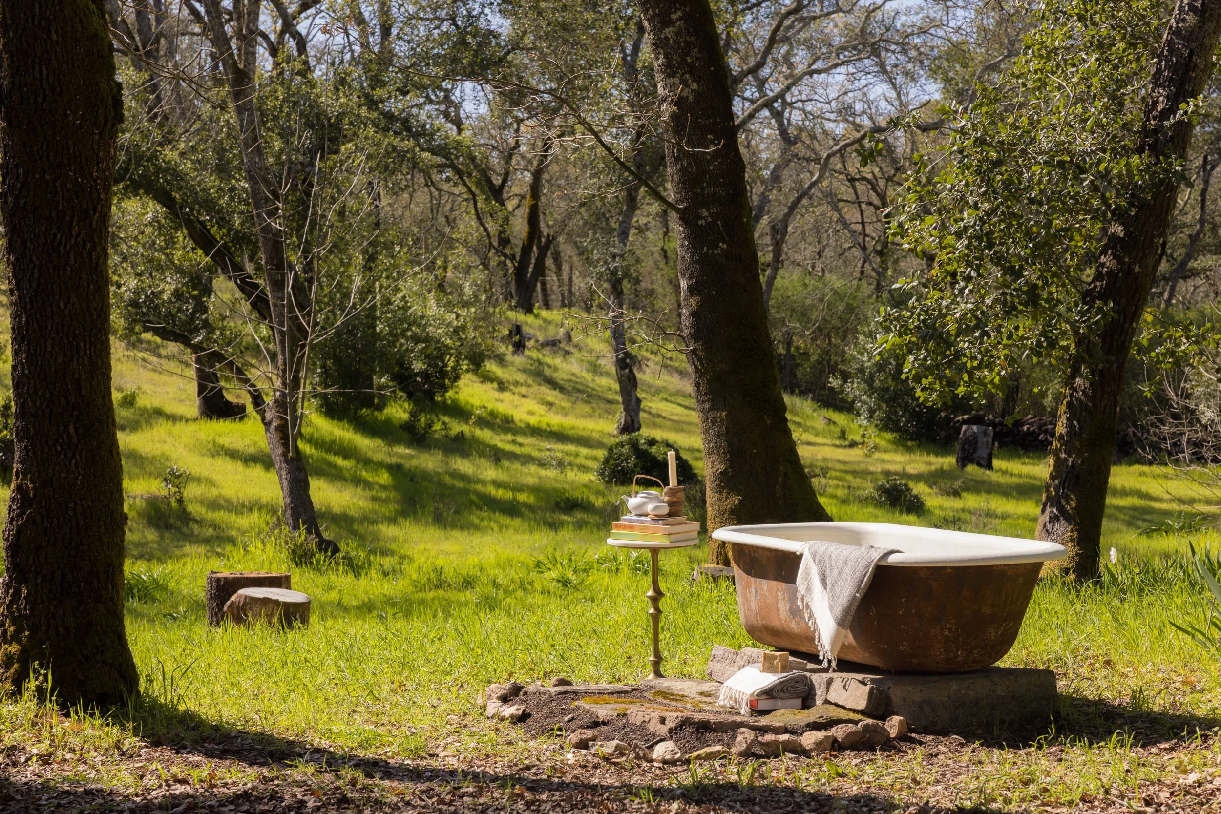 3525 Wood Valley Rd 80 20250318 small.jpg