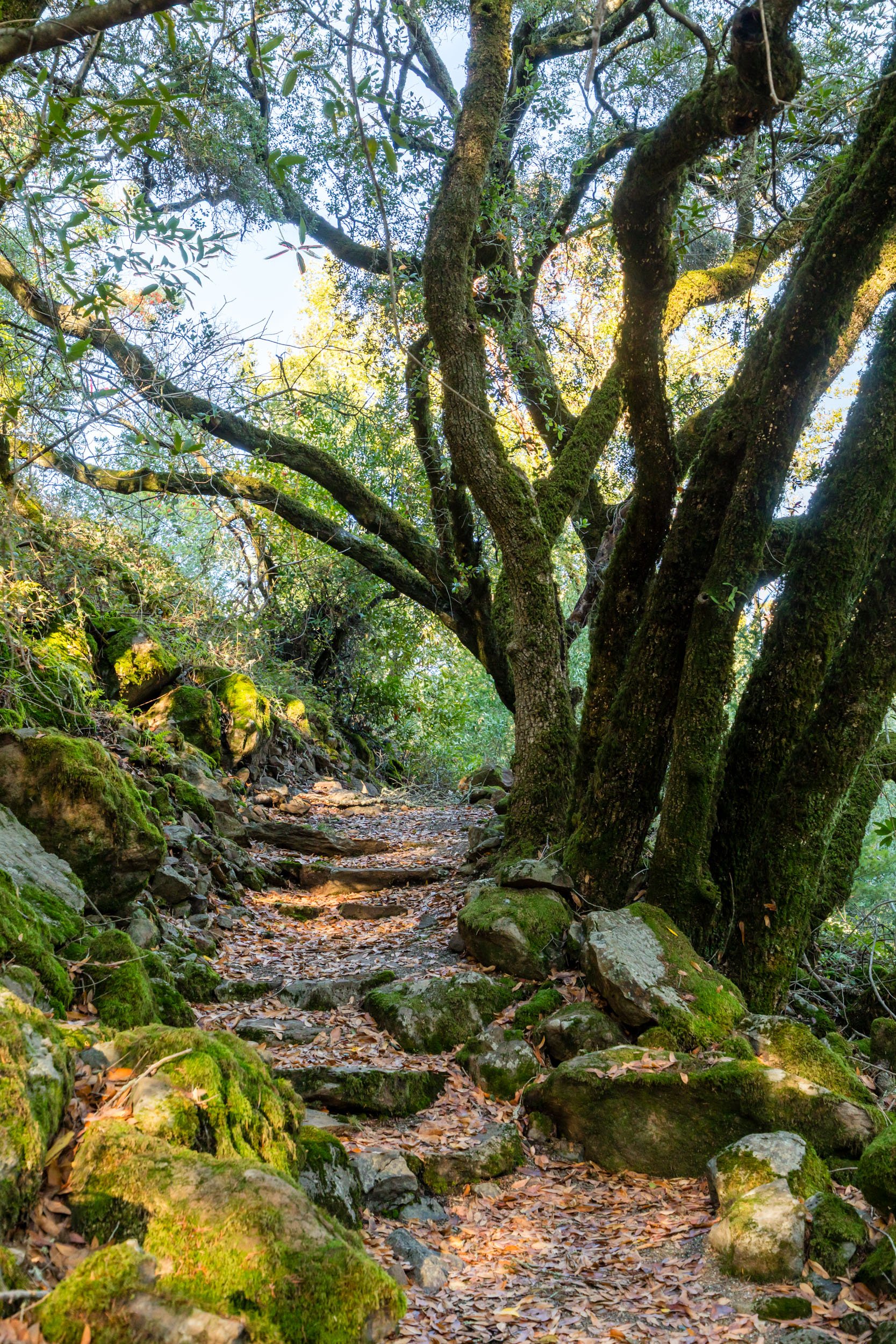 18730 Canyon grounds 34 20241127 small.jpg