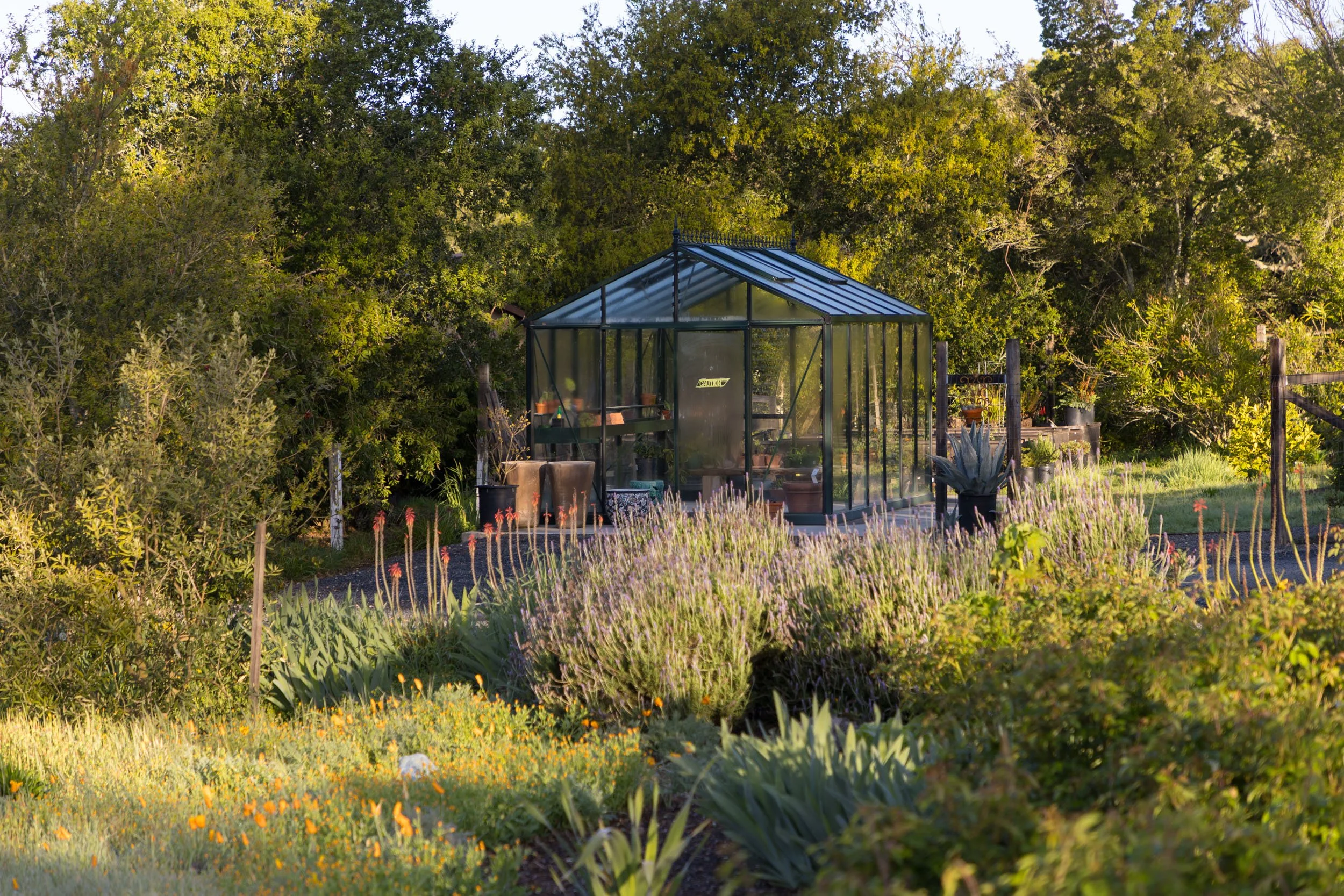 3525 Wood Valley Rd 70 20250403 small.jpg