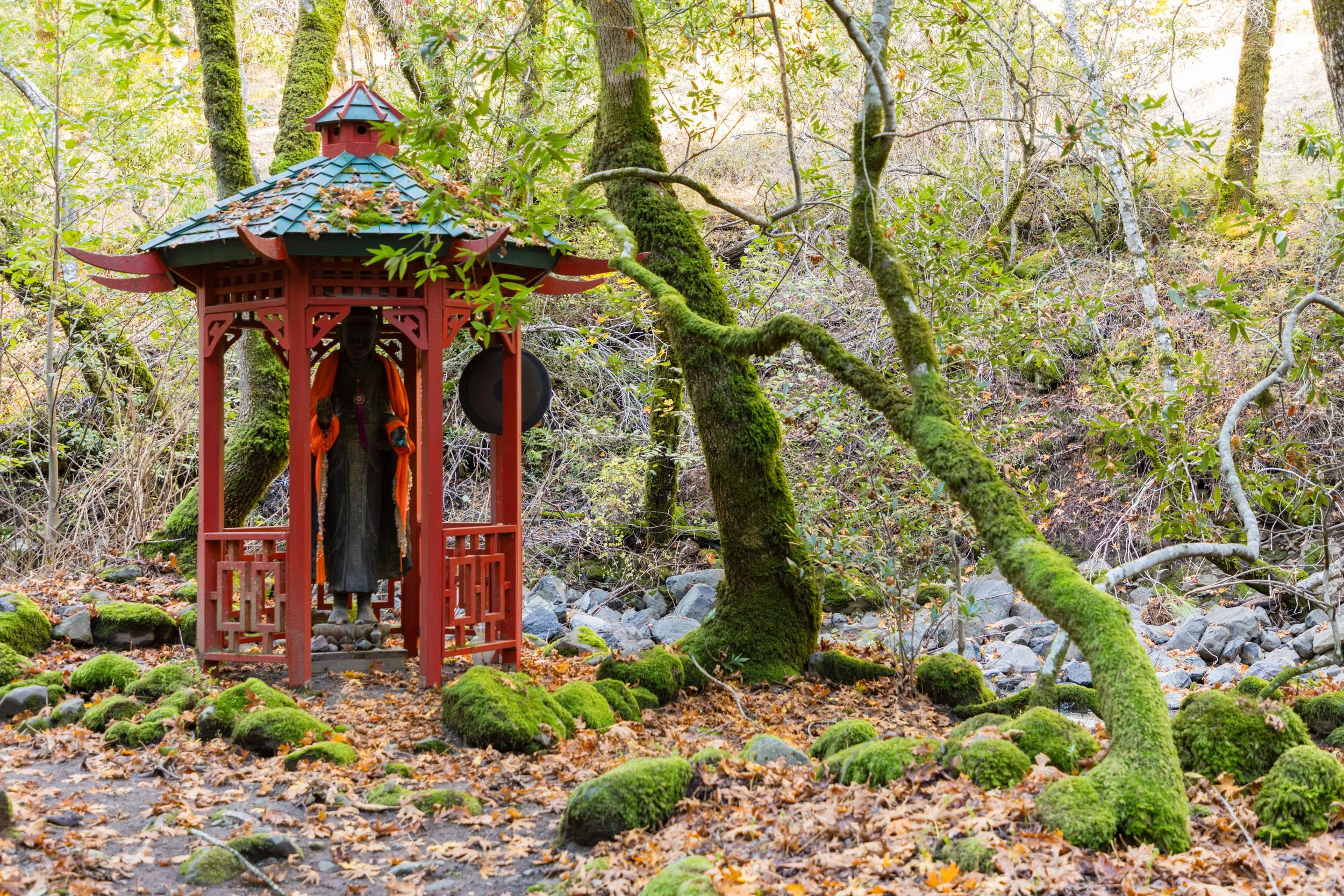 18730 Canyon grounds 31 20241127 small.jpg