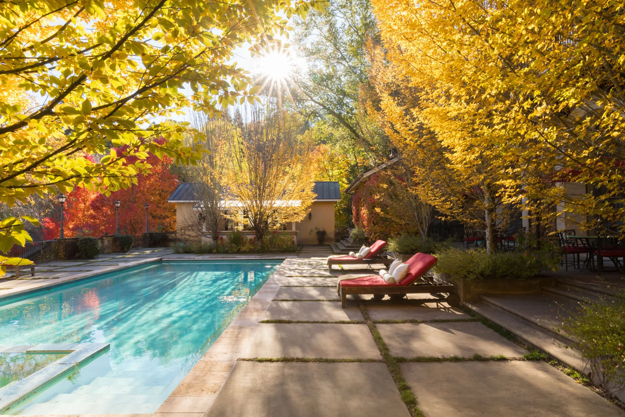 18730 Canyon grounds 16 20241127 small.jpg