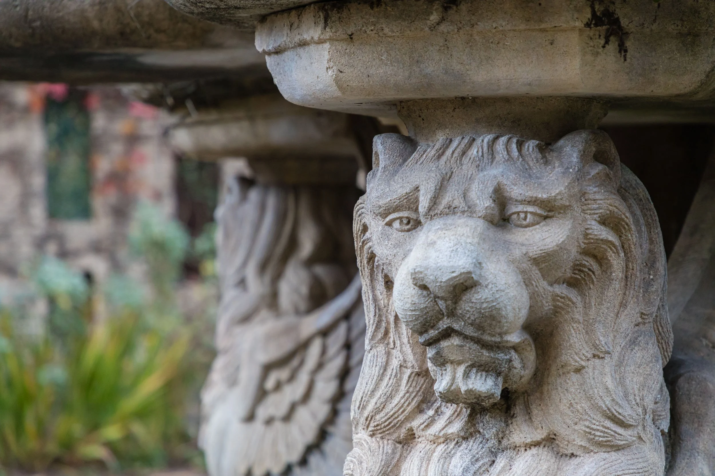 18730 Canyon grounds 40 20241127 small.jpg