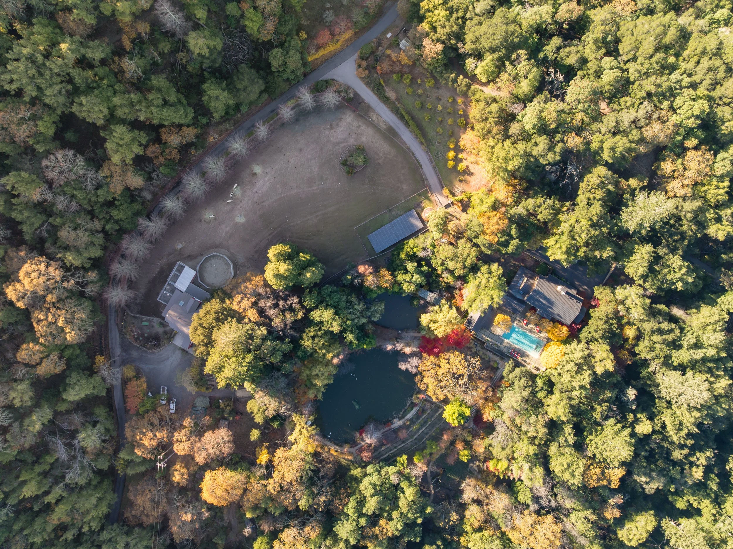 18730 Canyon grounds 26 20241127 small.jpg