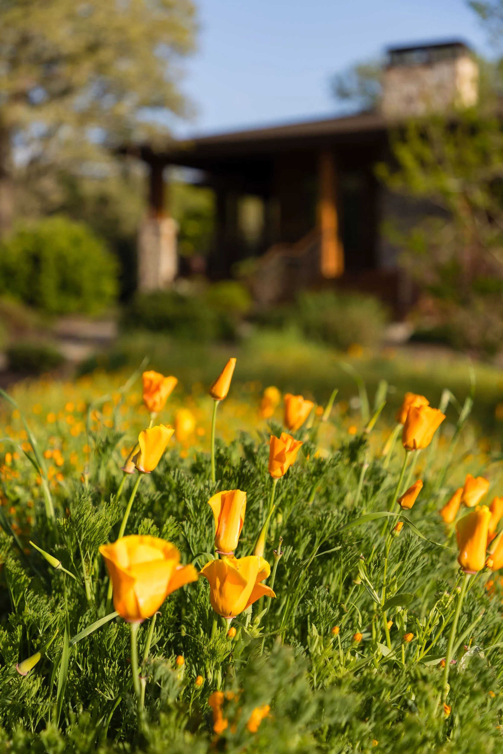 3525 Wood Valley Rd 64 20250403 small.jpg