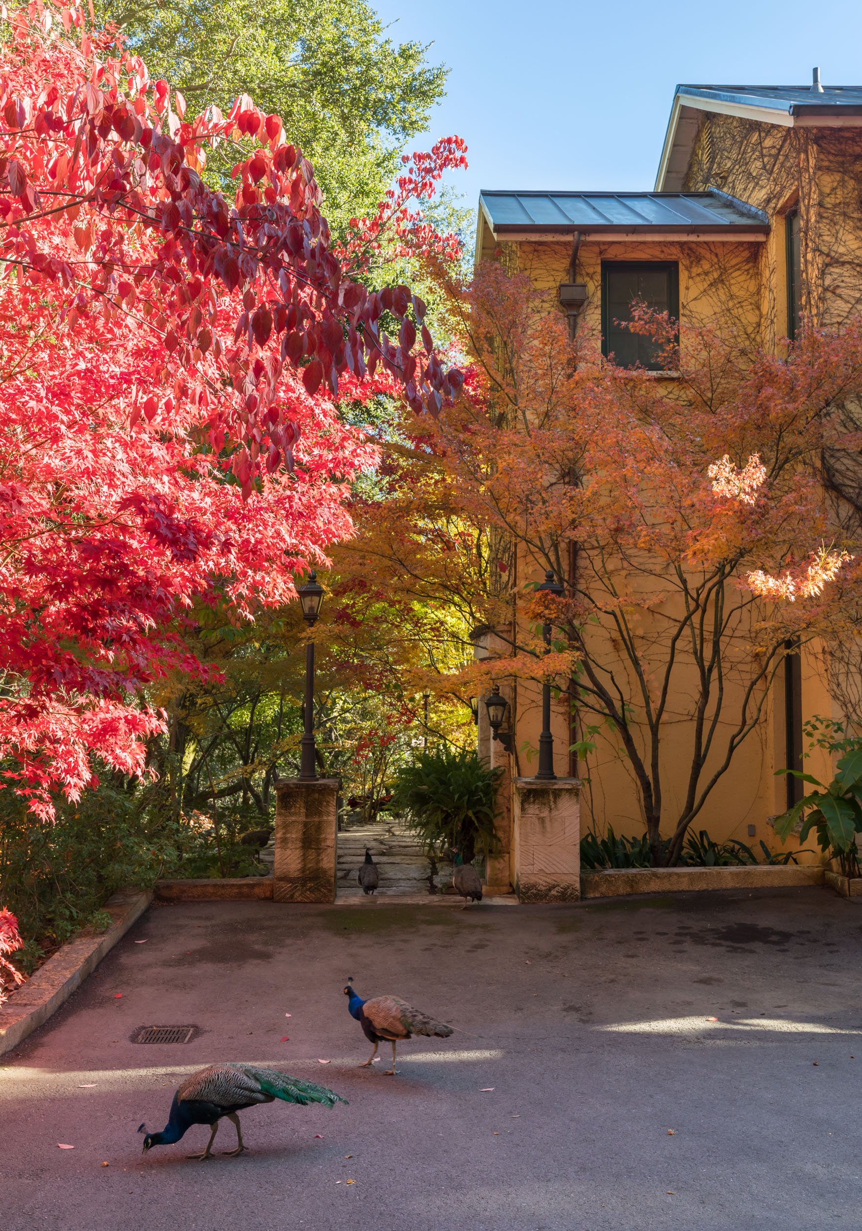 18730 Canyon grounds 15 20241127 small.jpg