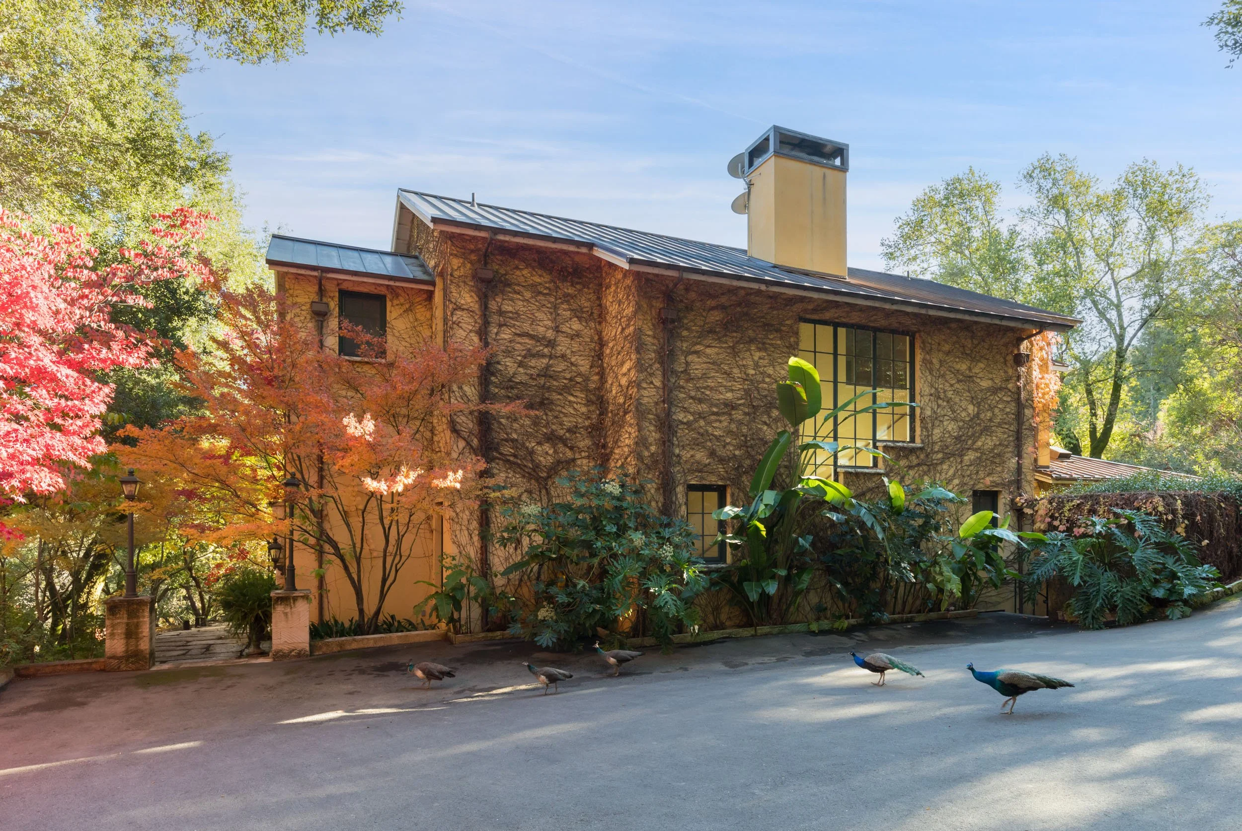 18730 Canyon grounds 14 20241127 small.jpg