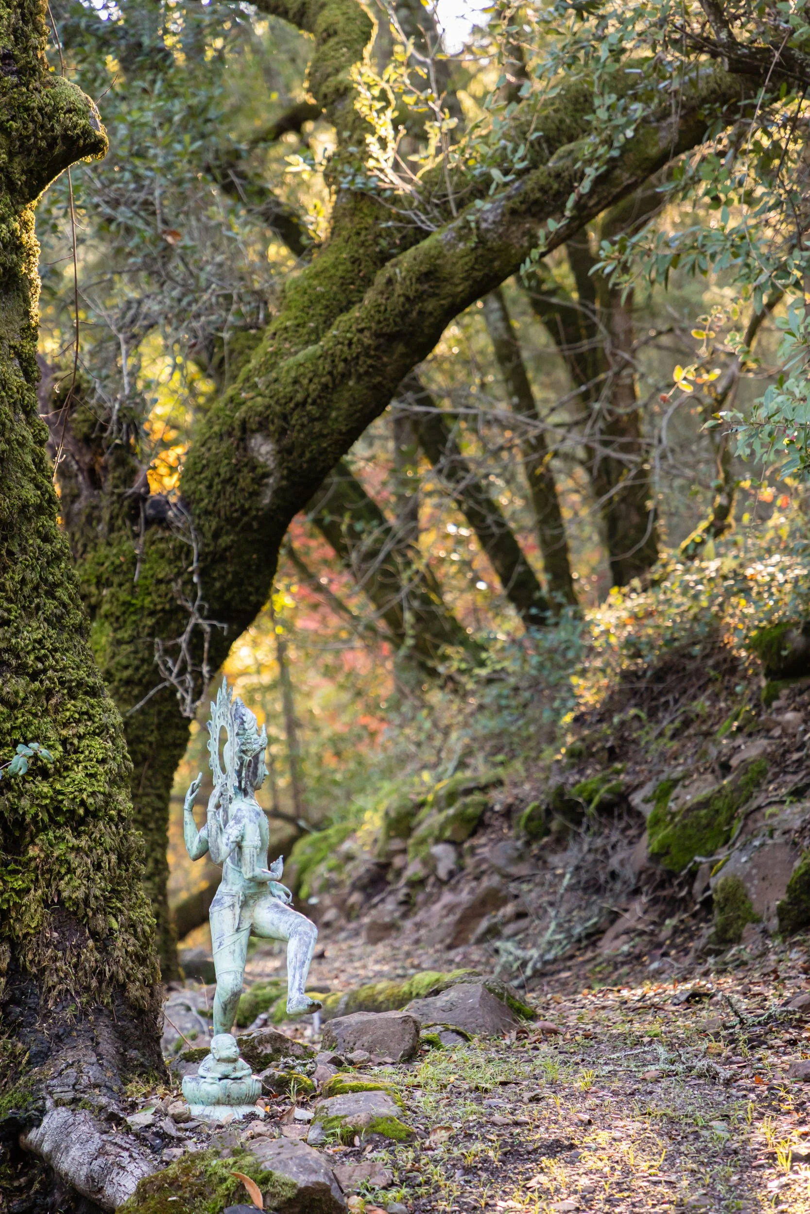 18730 Canyon grounds 36 20241127 small.jpg