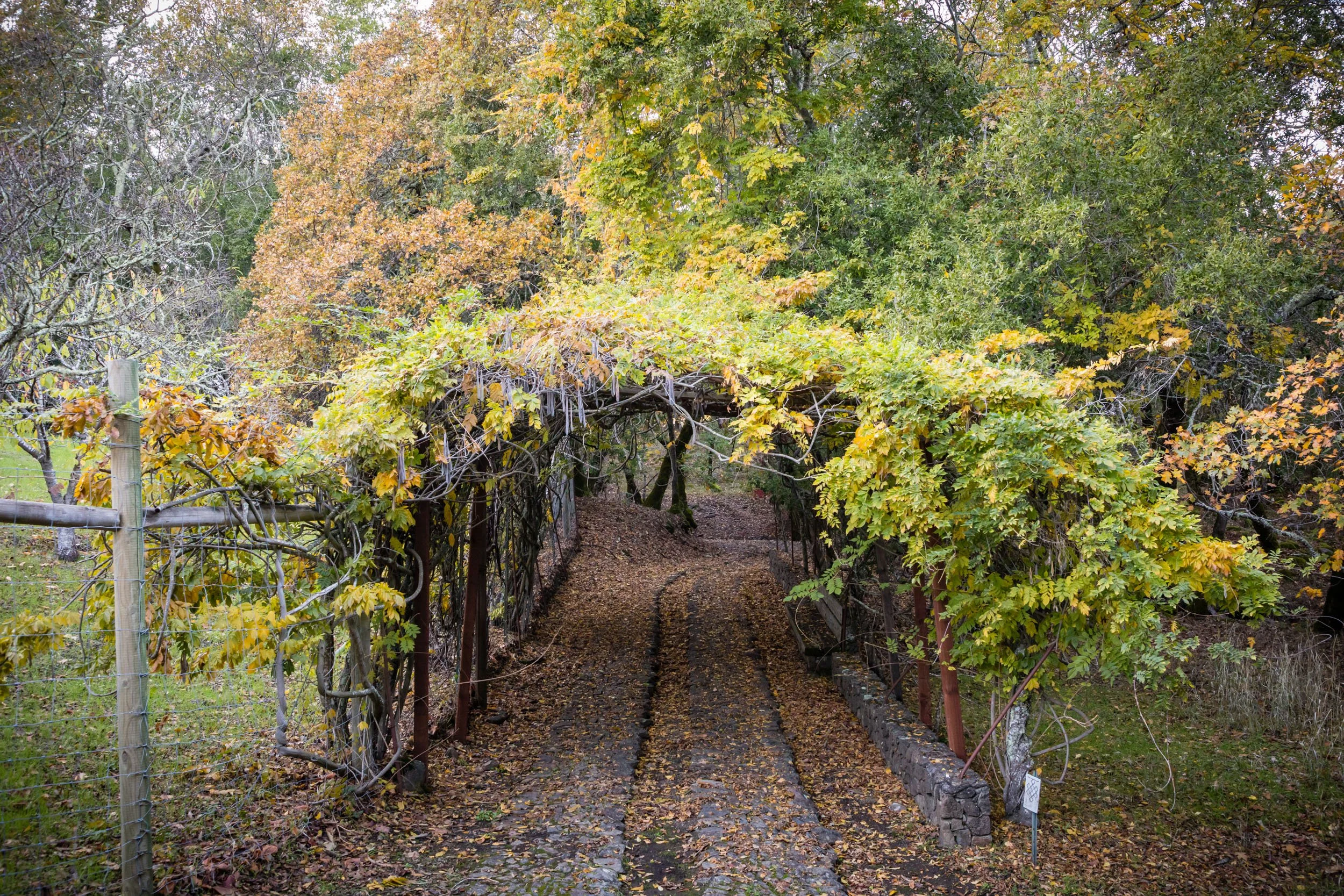 18730 Canyon grounds 37 20241127 small.jpg