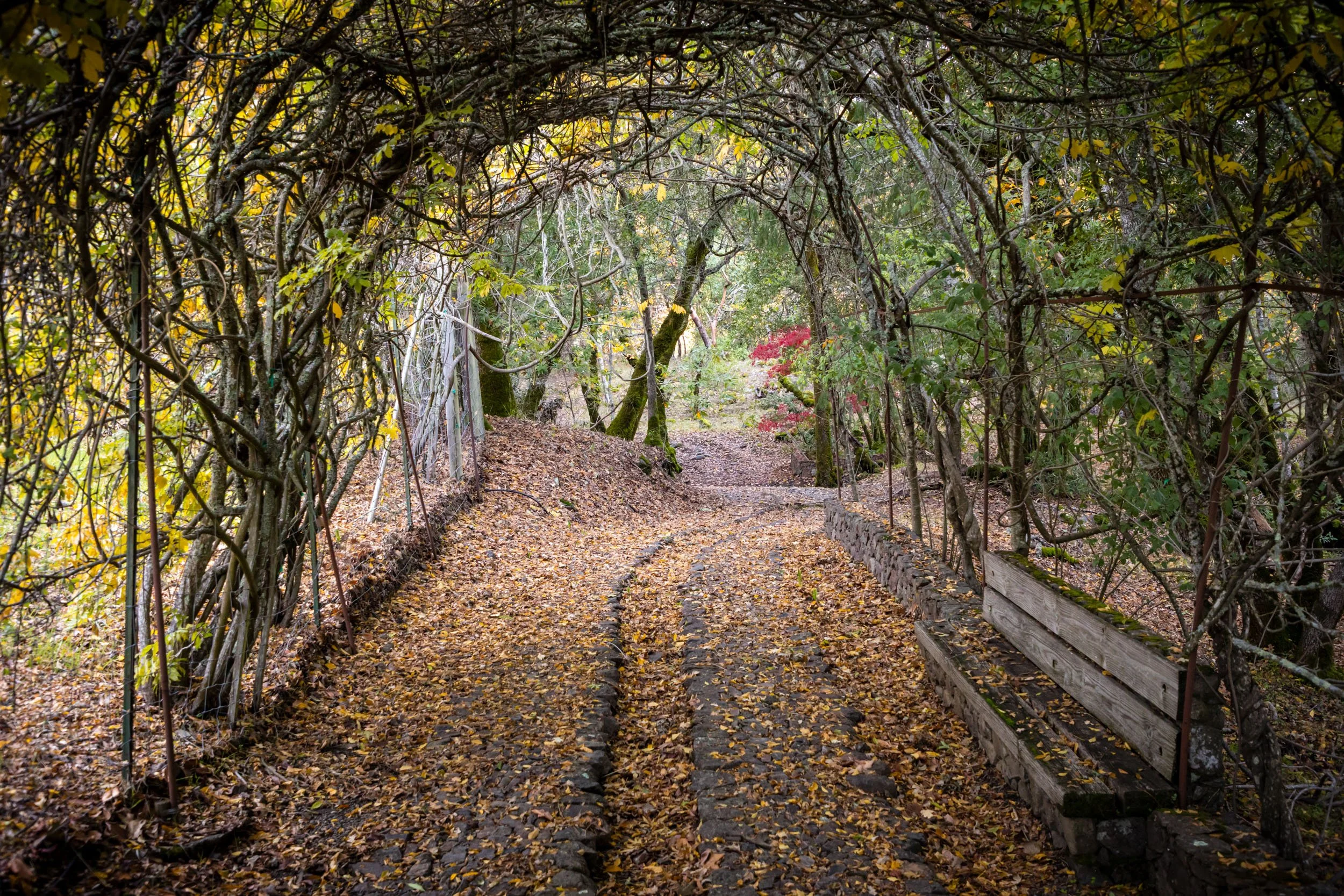 18730 Canyon grounds 38 20241127 small.jpg