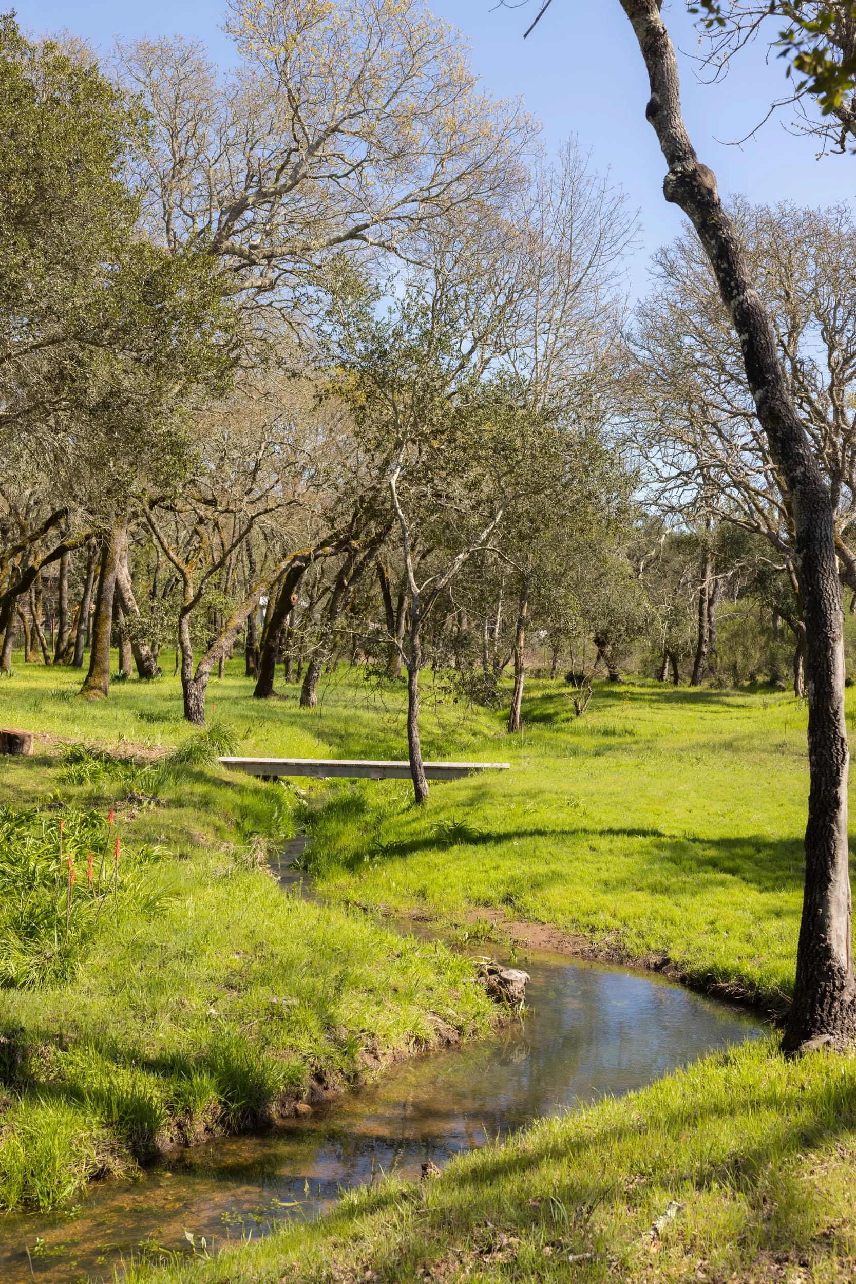 3525 Wood Valley Rd 79 20250318 small.jpg