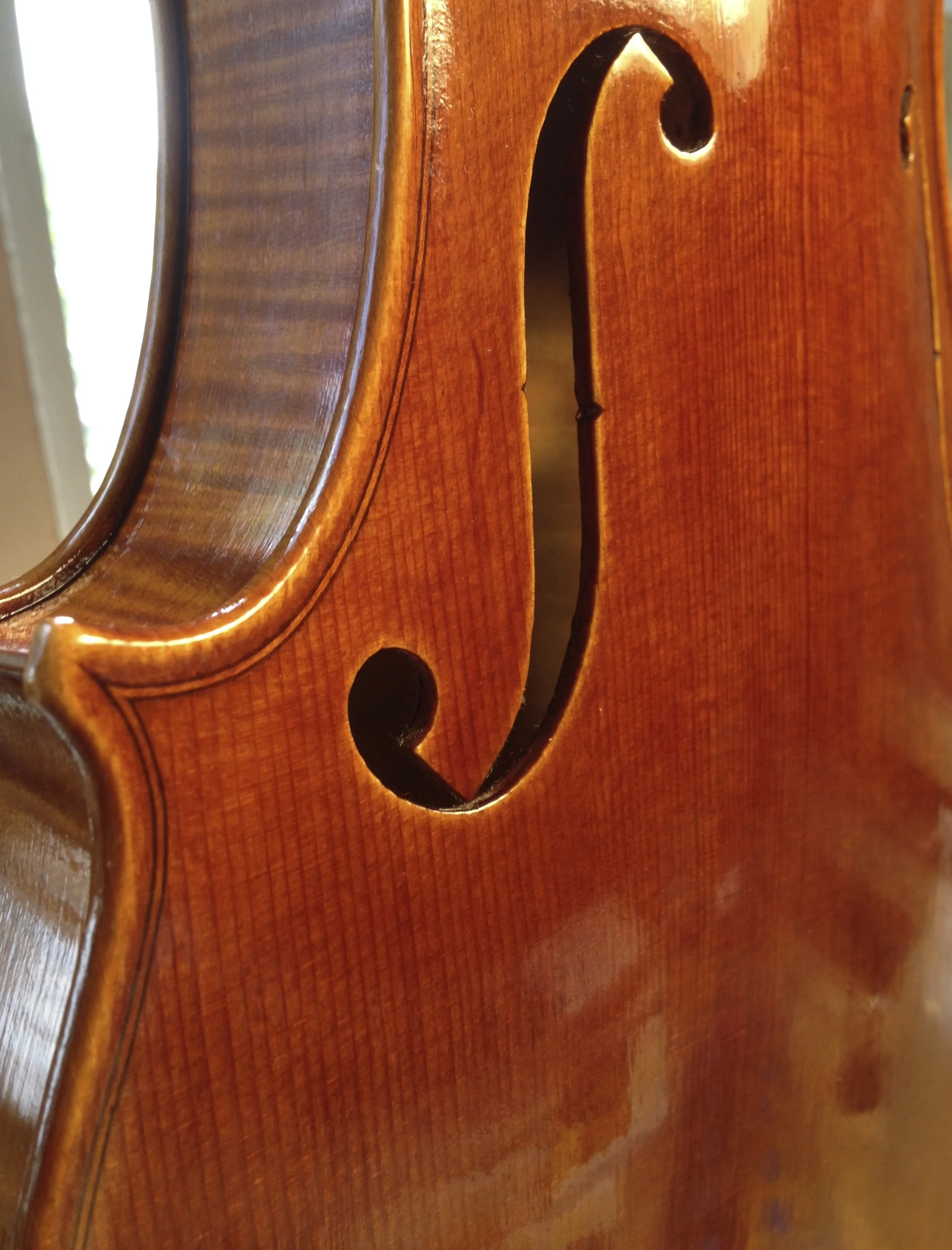 IMG_1209 1.07.14 AM.JPG