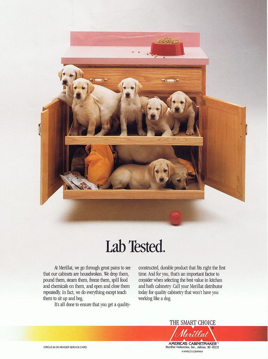 LabTested.jpg