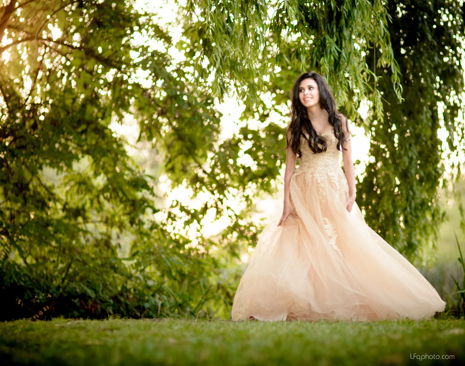Alisia's Quinceañera 