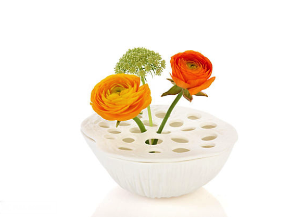 IMG_0473.PNG