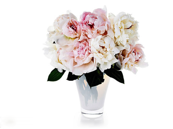 IMG_0597.PNG