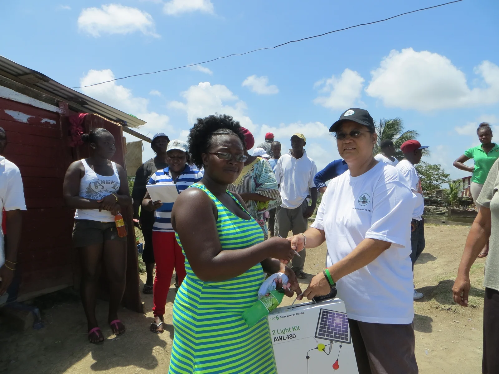 The Guyana Foundation