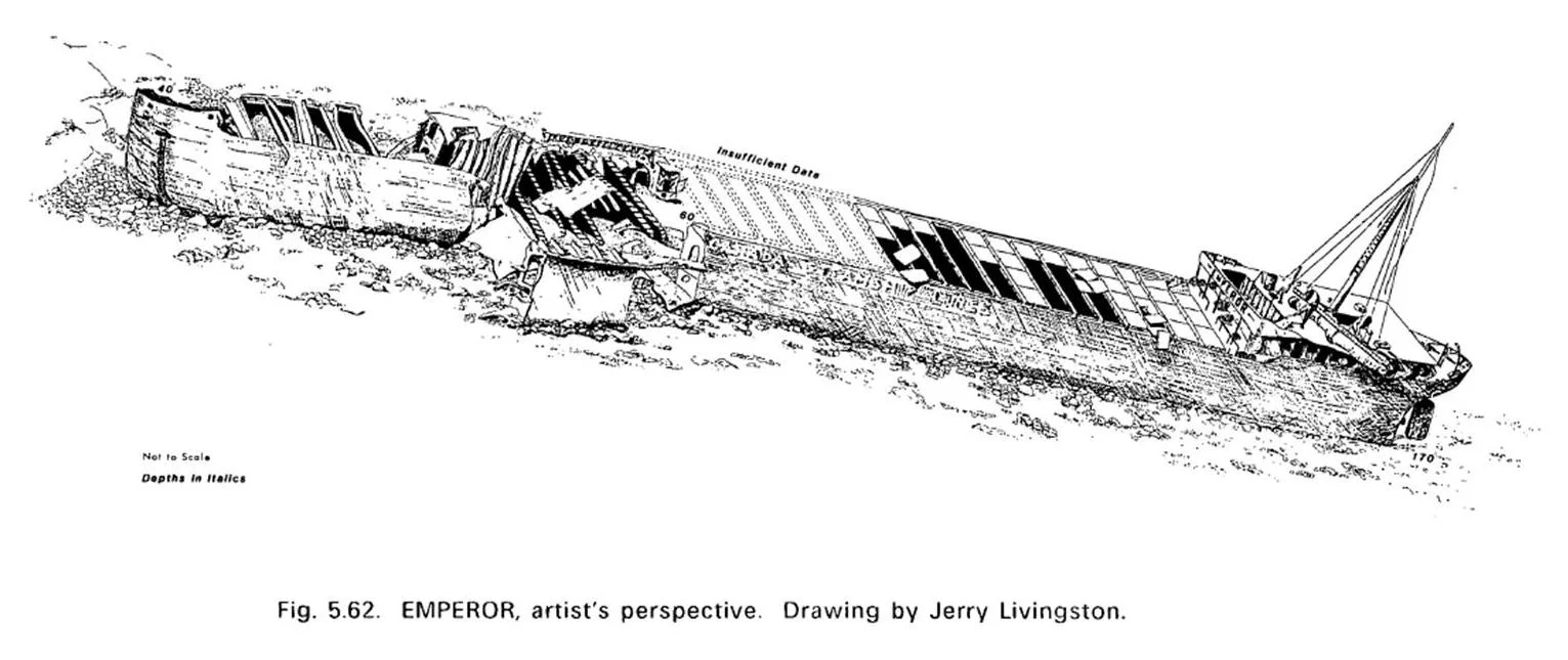 Illustration courtesy of the National Park Service, drawn by Jerry Livingston