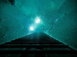 Nemo 33