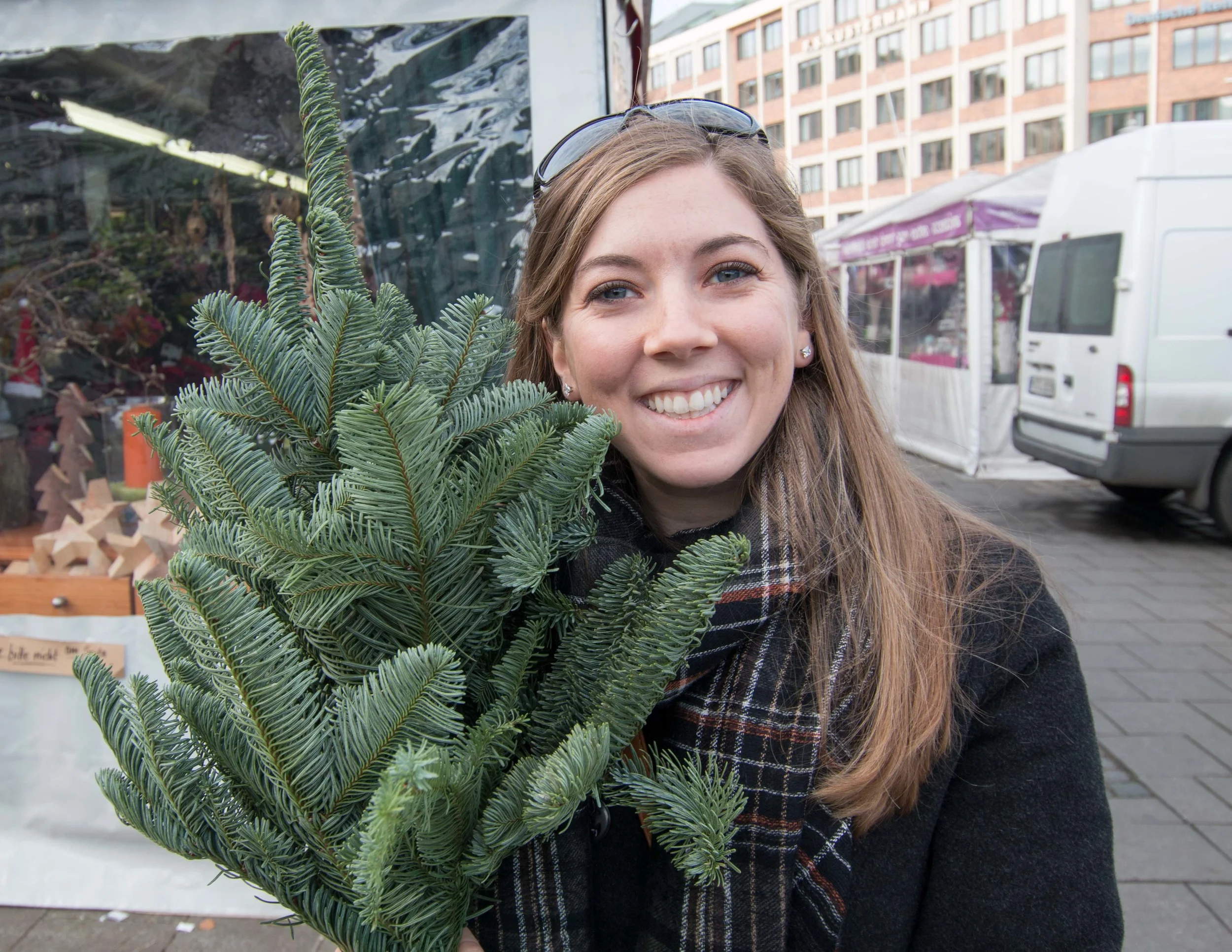 I found the perfect little Christmas tree!