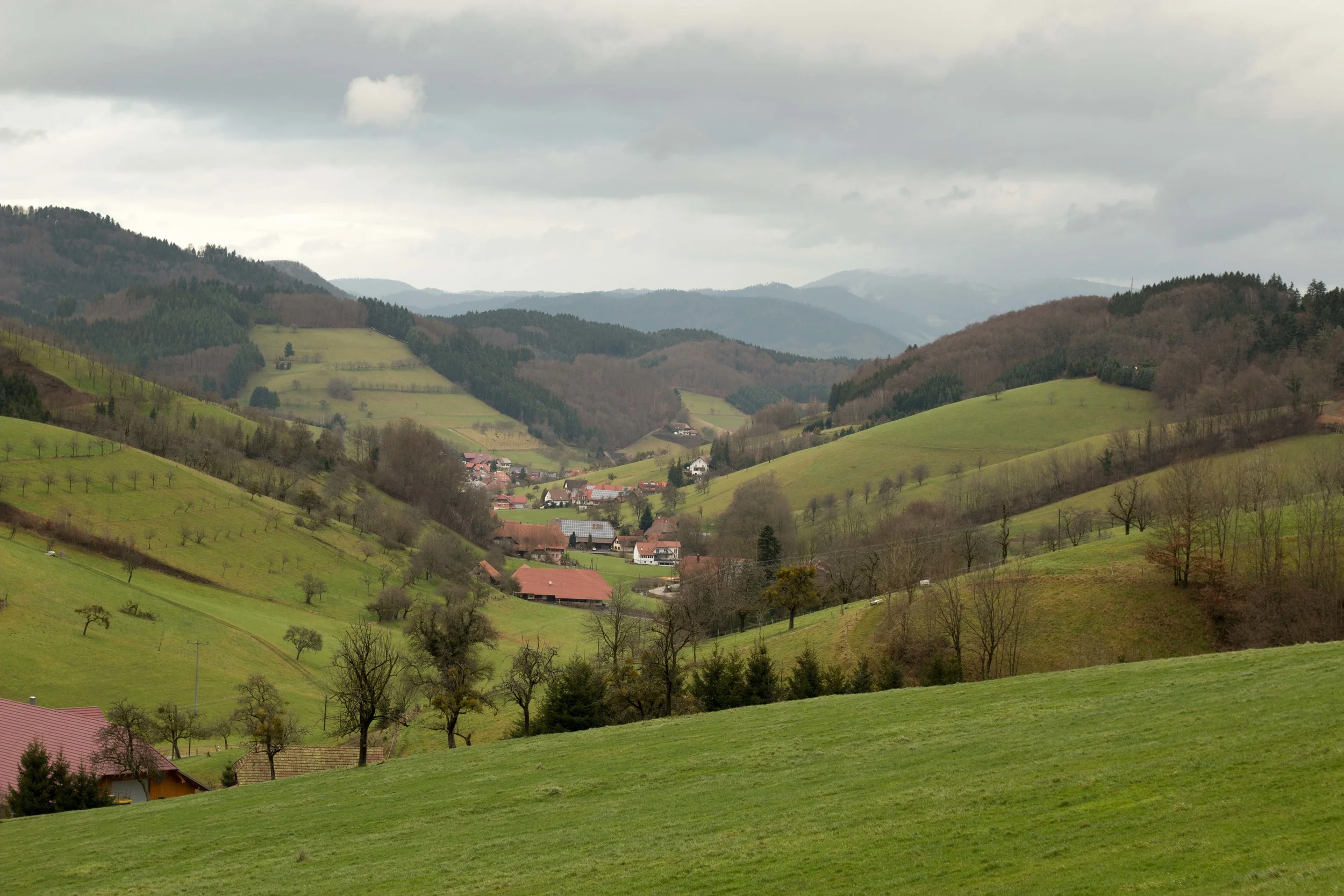 Perfect little village in a perfect little valley in the Schwarzwald.