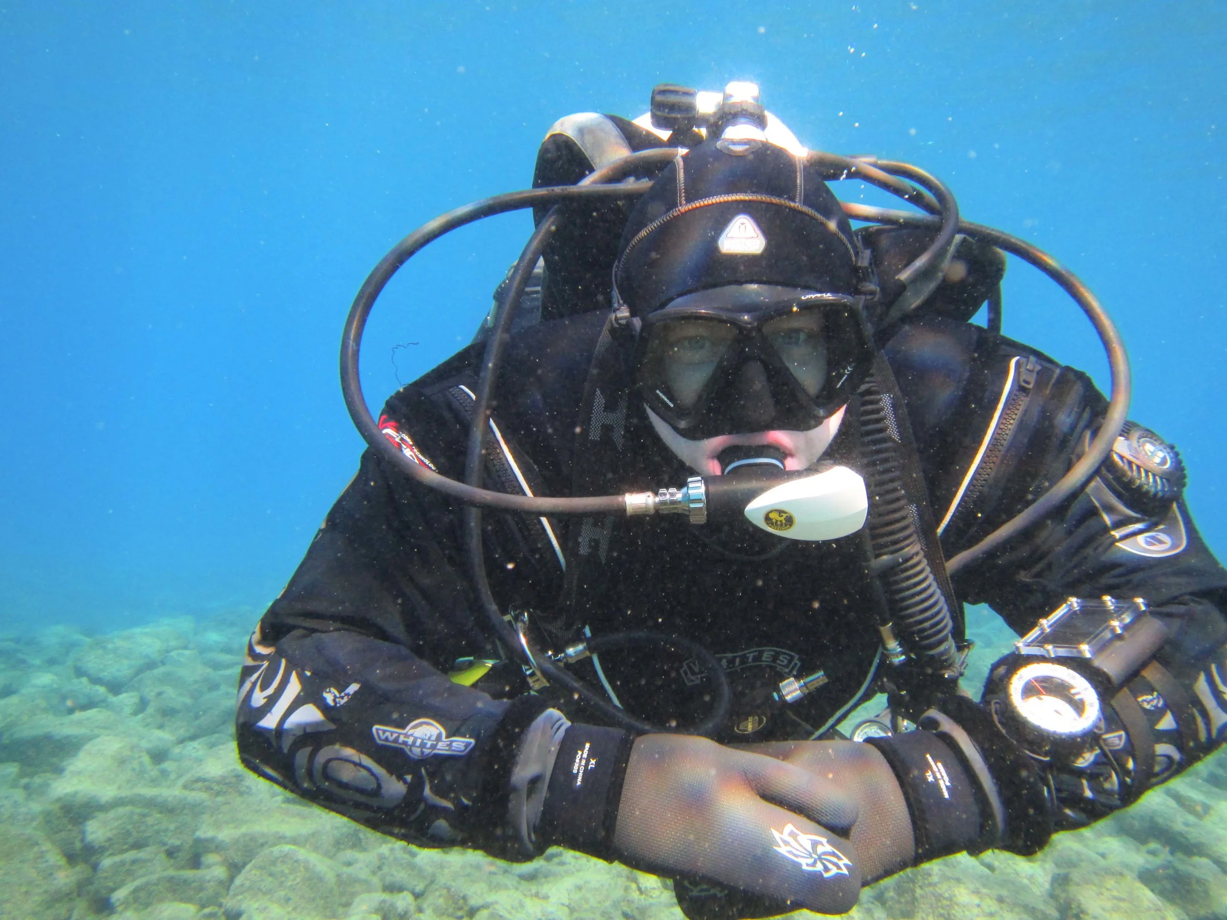 He does dive! Even got a picture of Aaron underwater