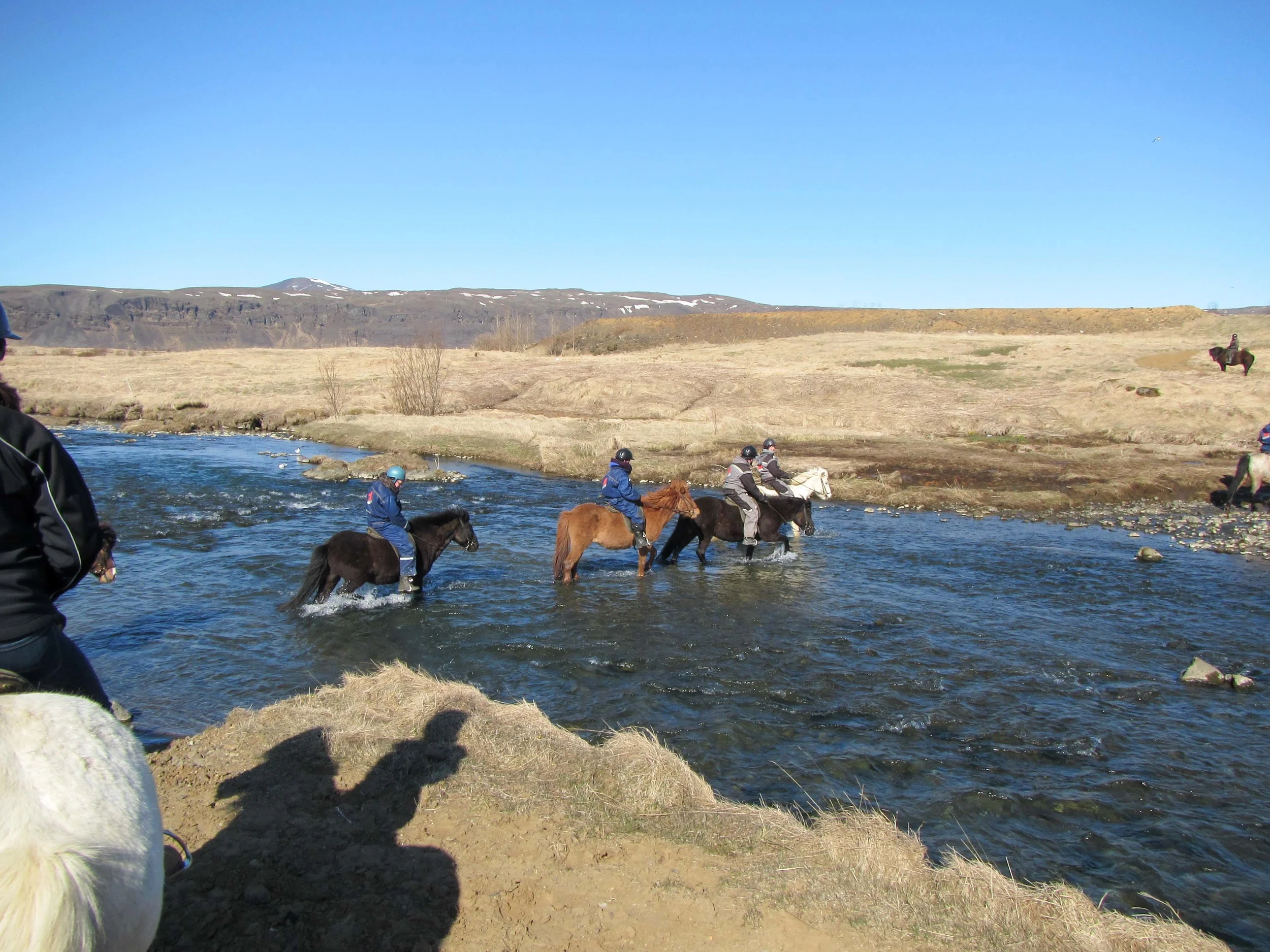 We all successfully forded the river! 
