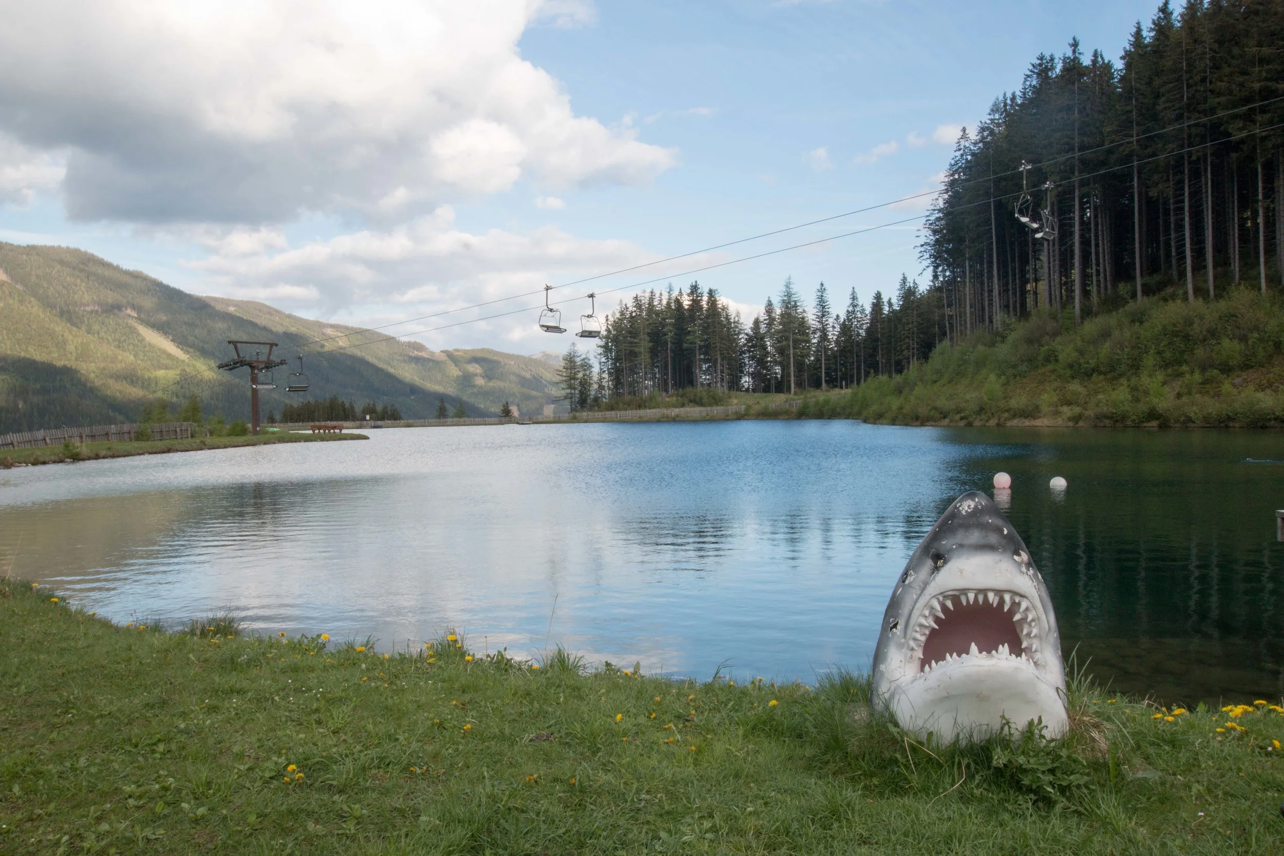 Contrary to what is shown here, the lake is, indeed, shark free.