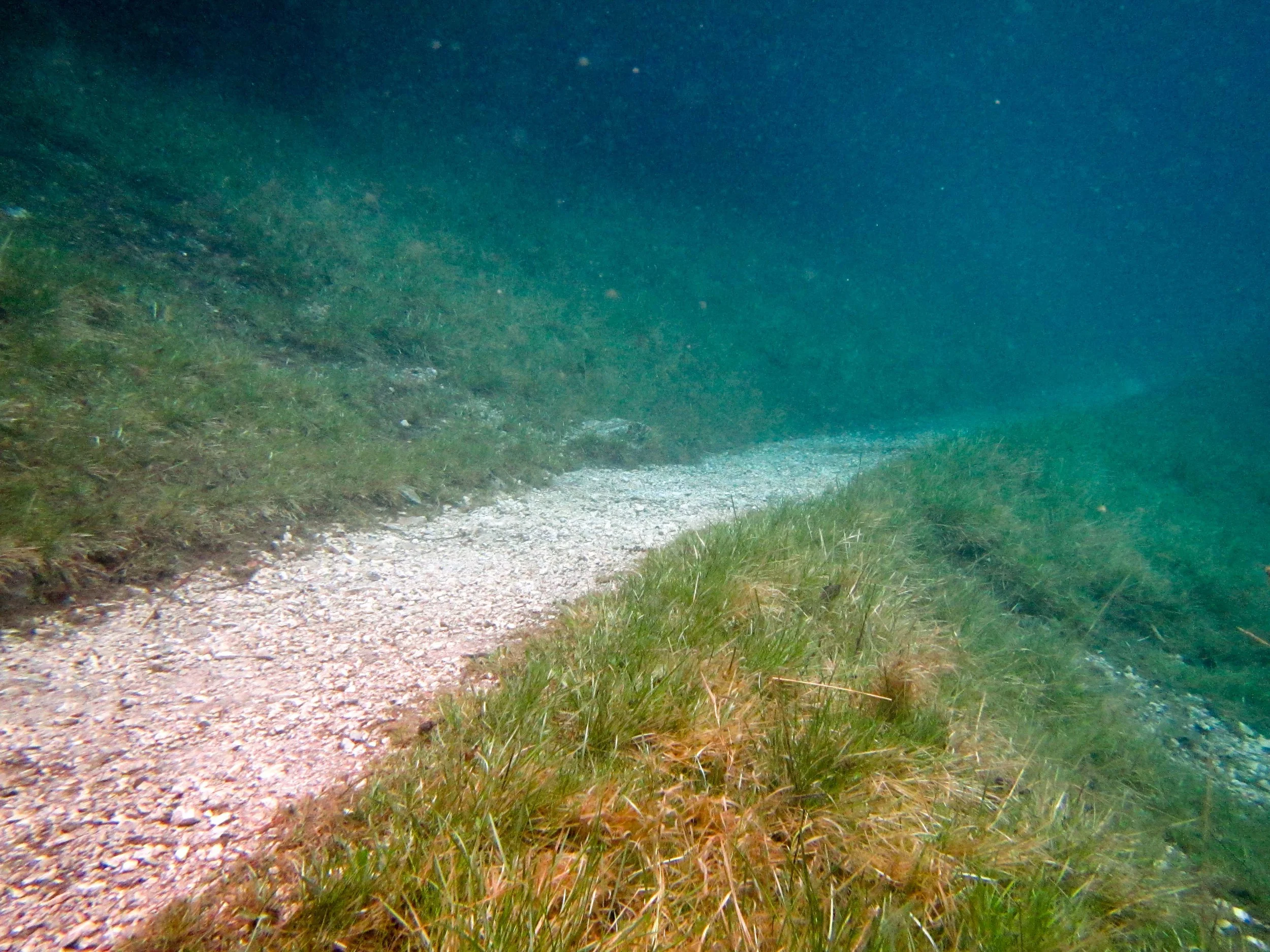 Submerged hiking trails 